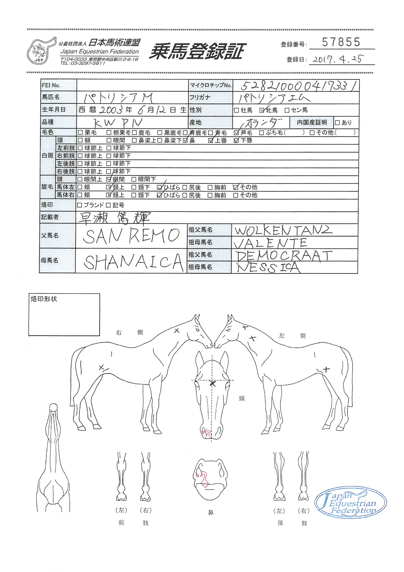 公益社団法人 日本馬術連盟 《Japan Equestrian Federation