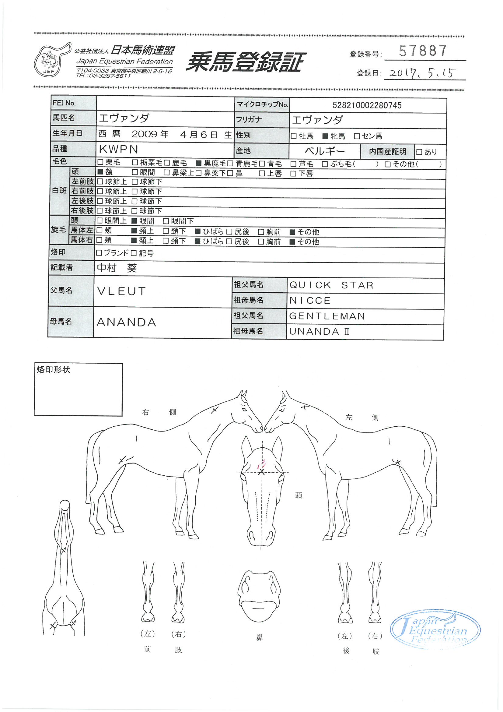 公益社団法人 日本馬術連盟 《Japan Equestrian Federation