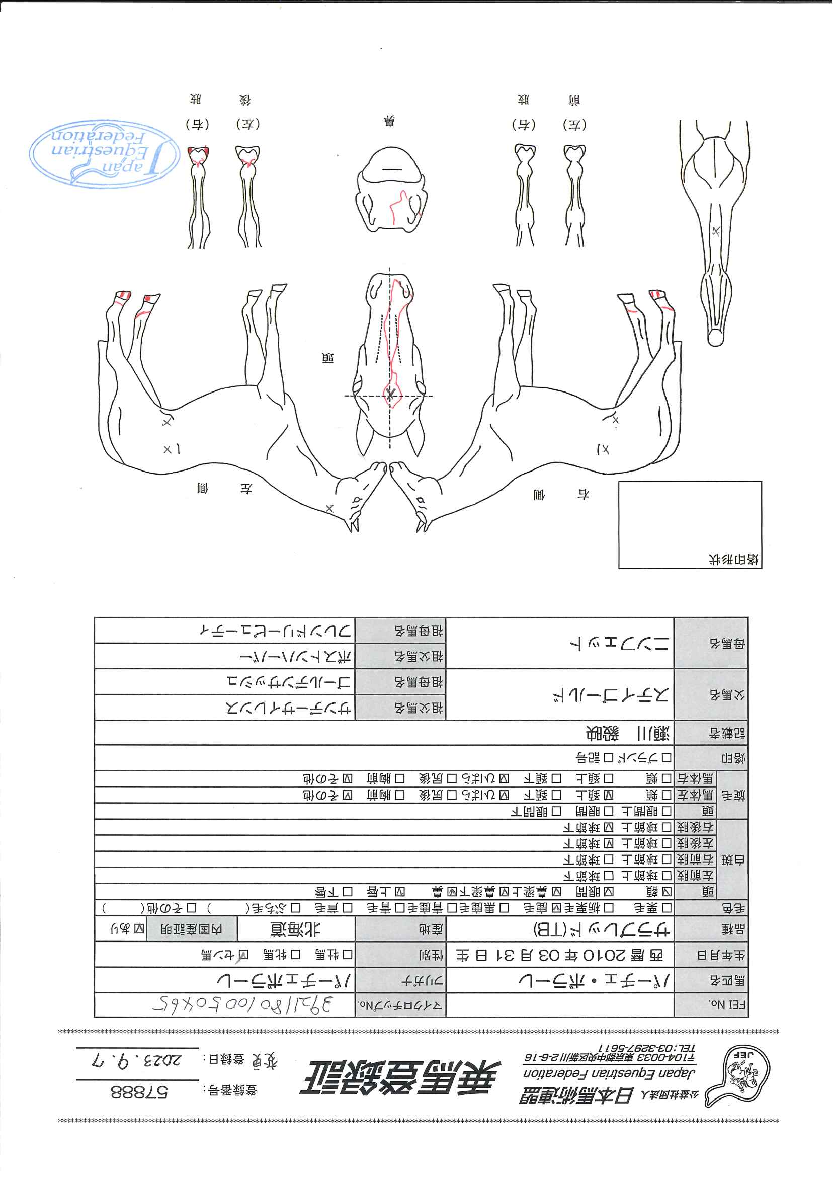 乗馬登録証