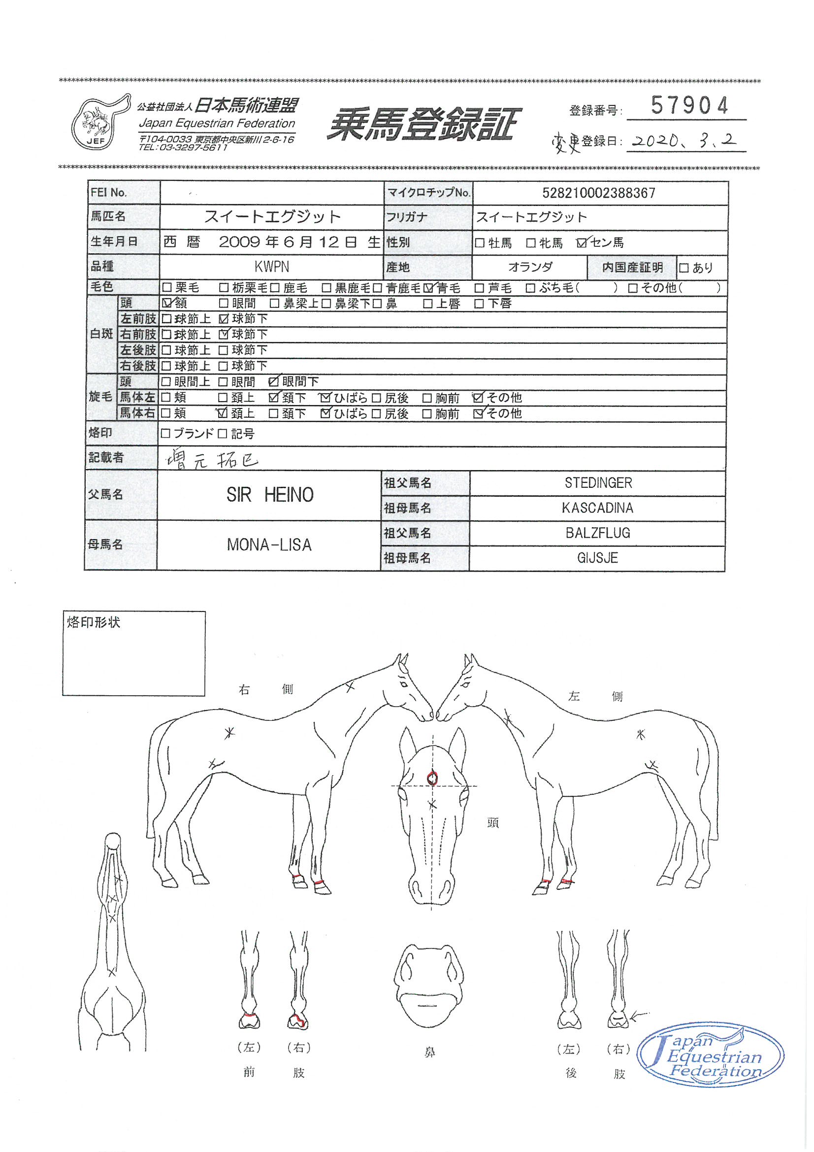 希少　PARROT パロット　英和・和英豆辞典　日本交通公社出版事務局 ギフト】 PARROT 希少 パロット 日本交通公社出版事務局 英和