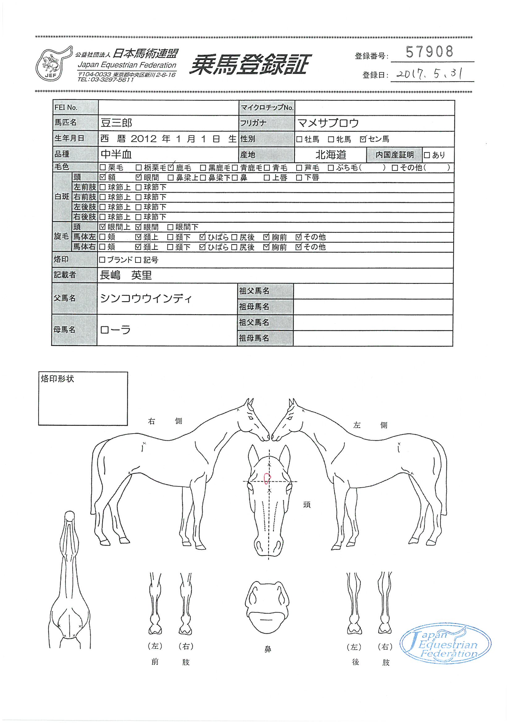 乗馬登録証