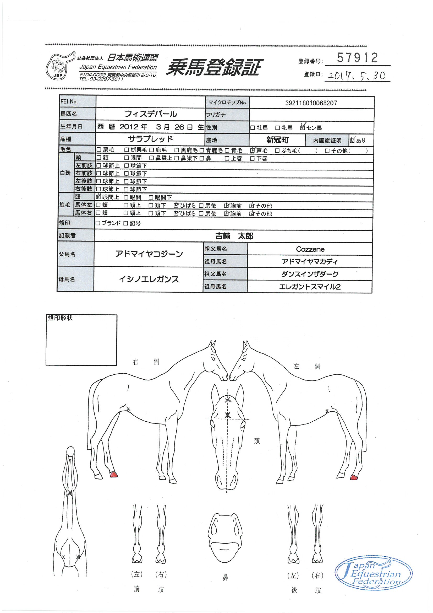 乗馬登録証