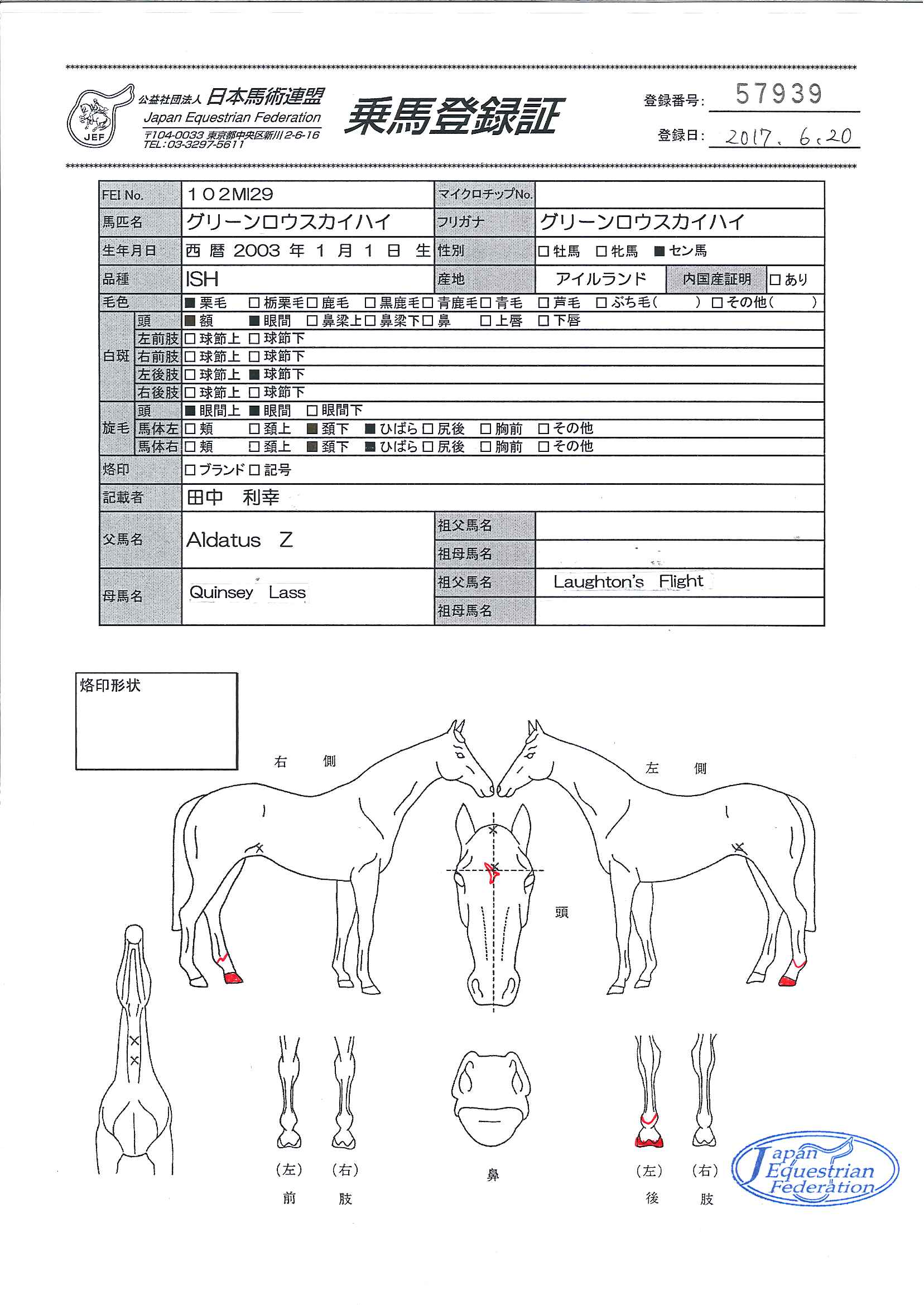 乗馬登録証