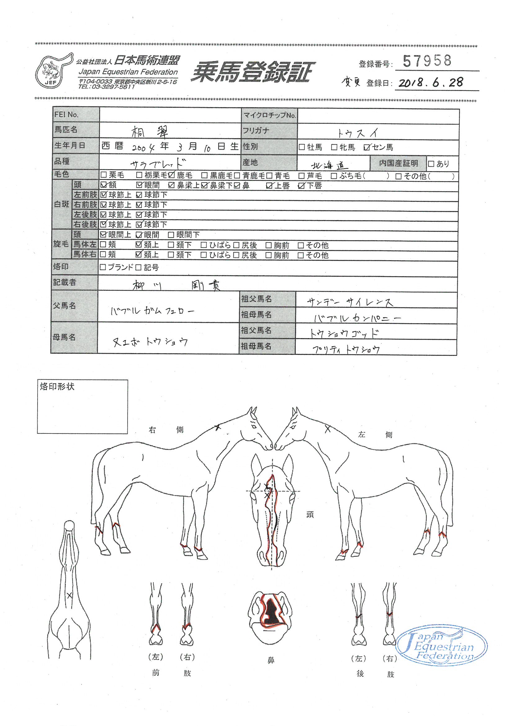 乗馬登録証