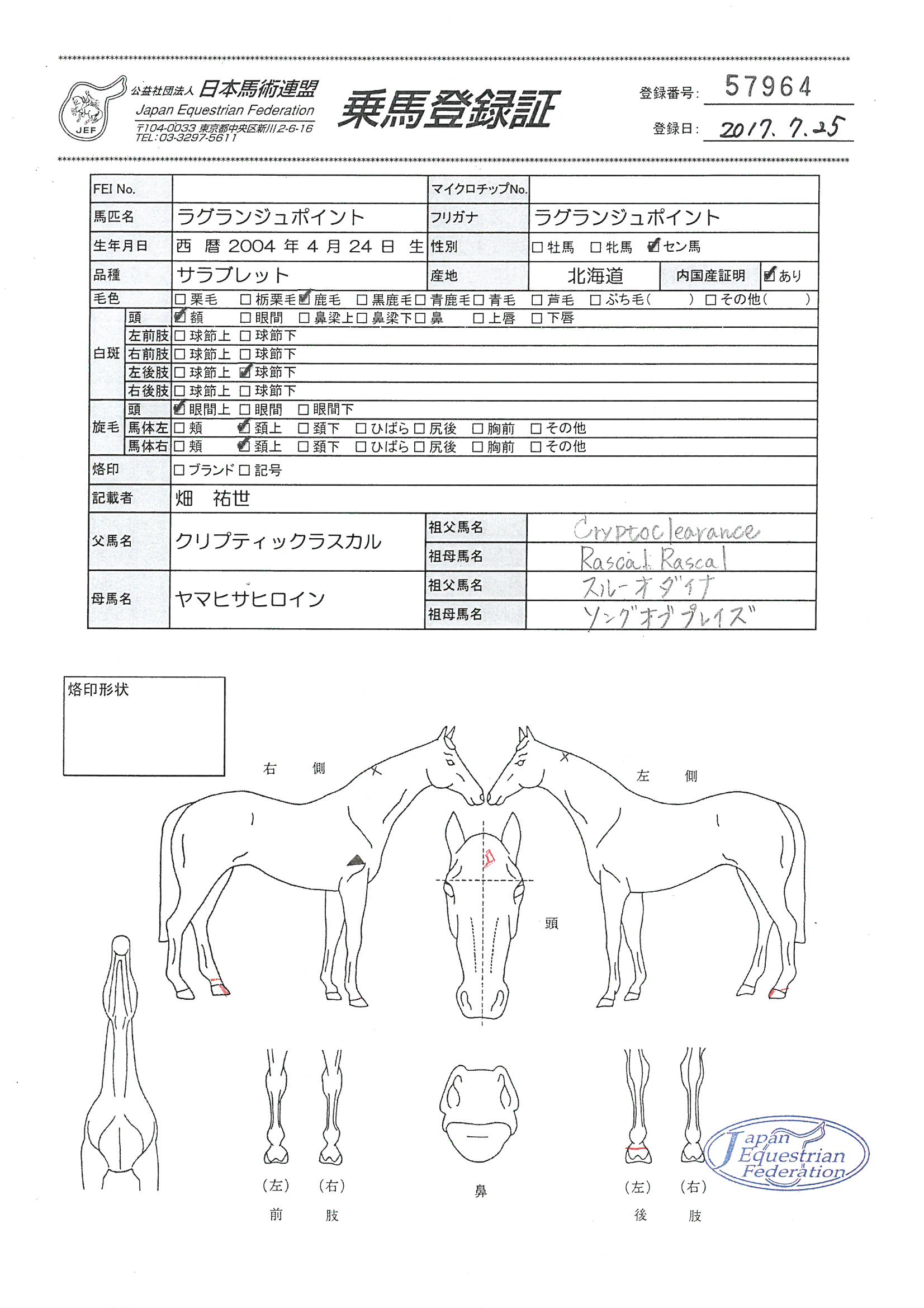 乗馬登録証