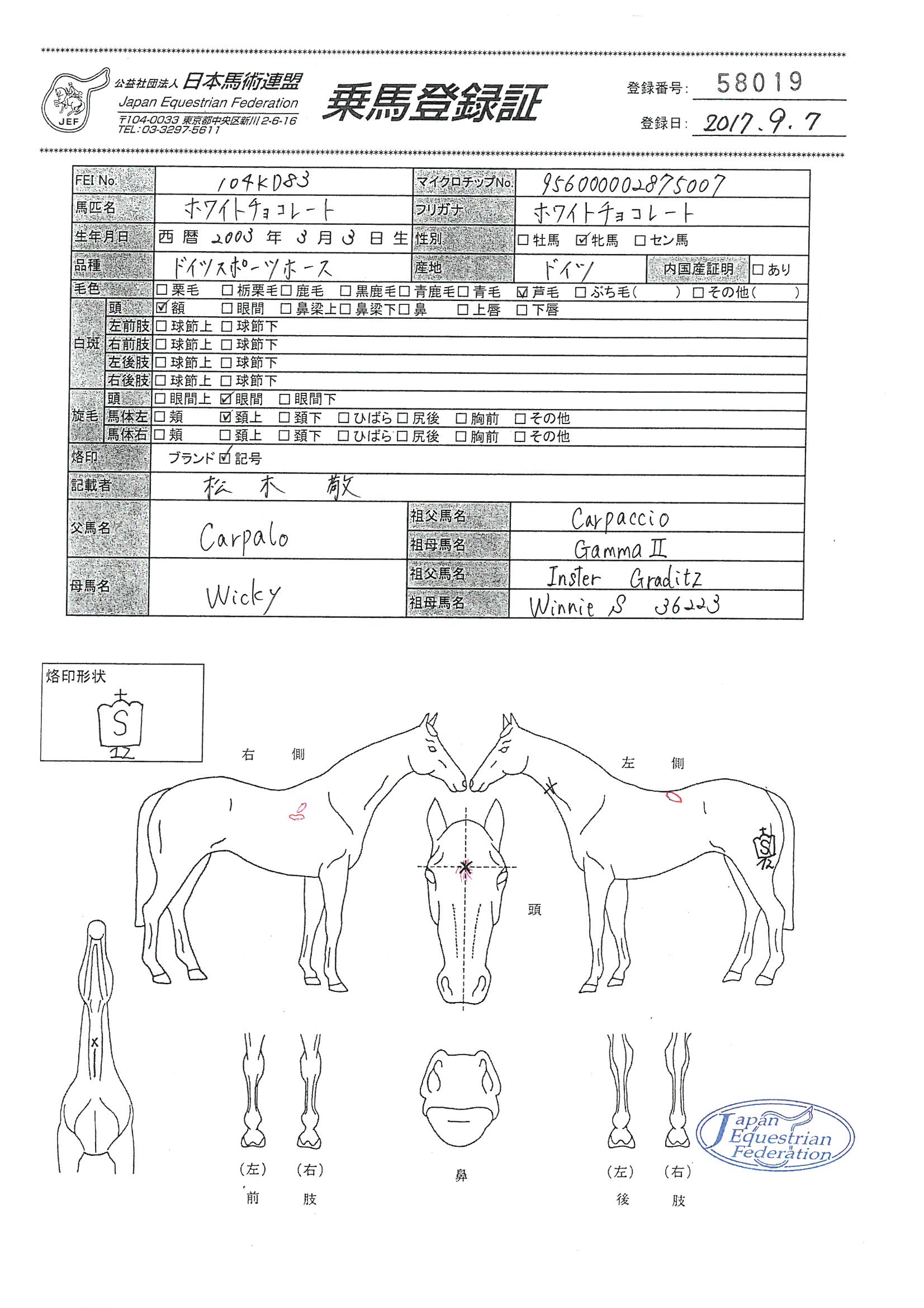公益社団法人 日本馬術連盟 《Japan Equestrian Federation