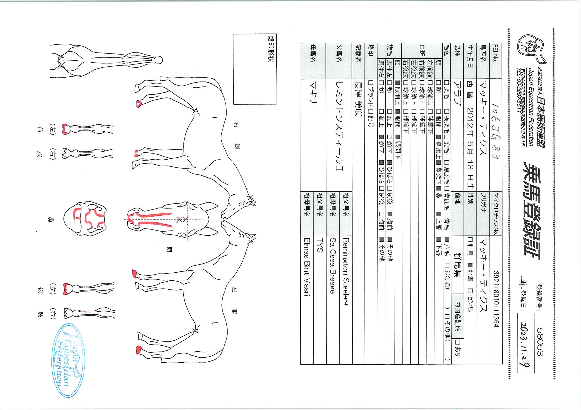 乗馬登録証