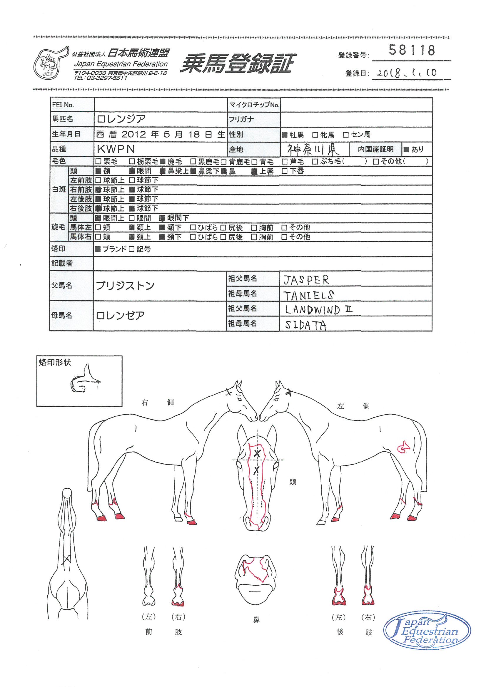 公益社団法人 日本馬術連盟 《Japan Equestrian Federation