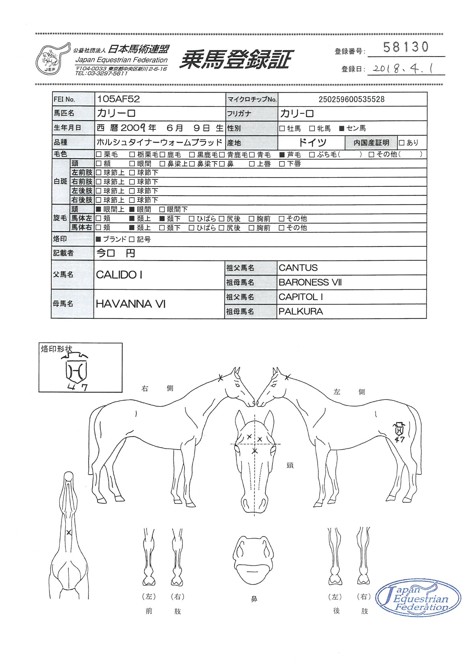 乗馬登録証
