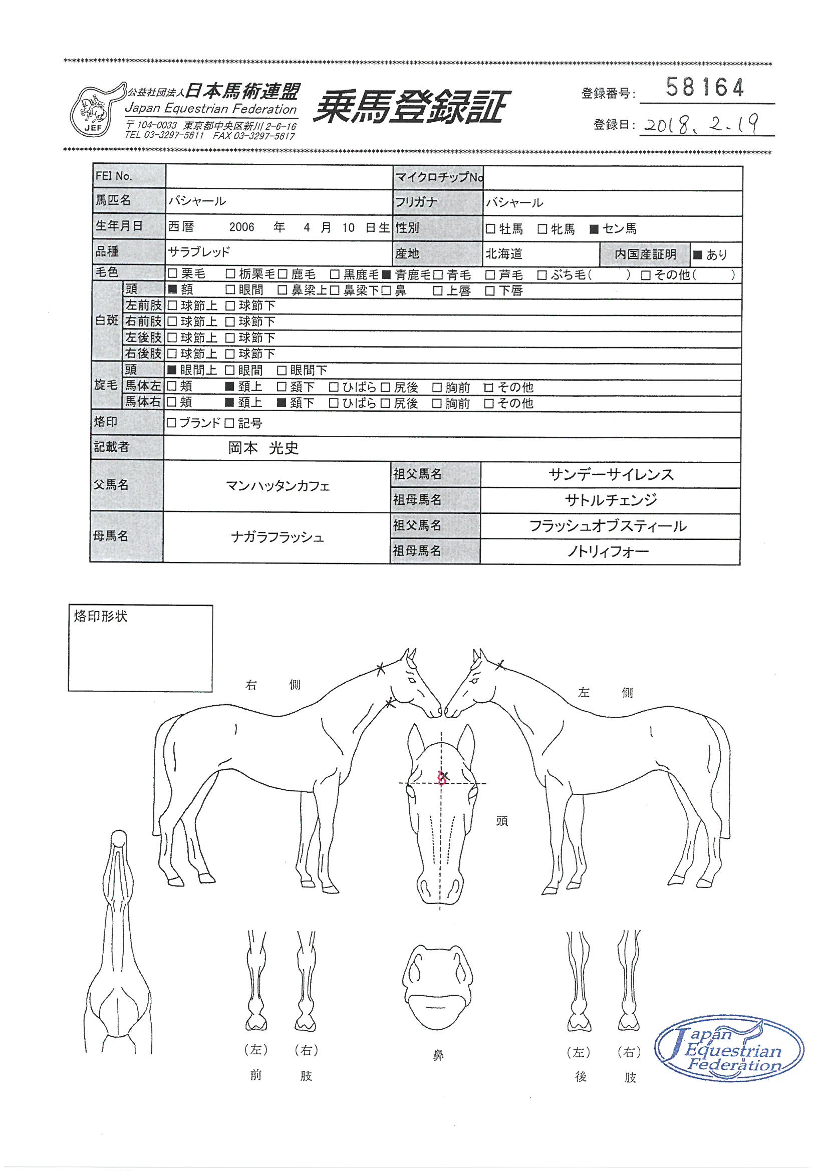 乗馬登録証