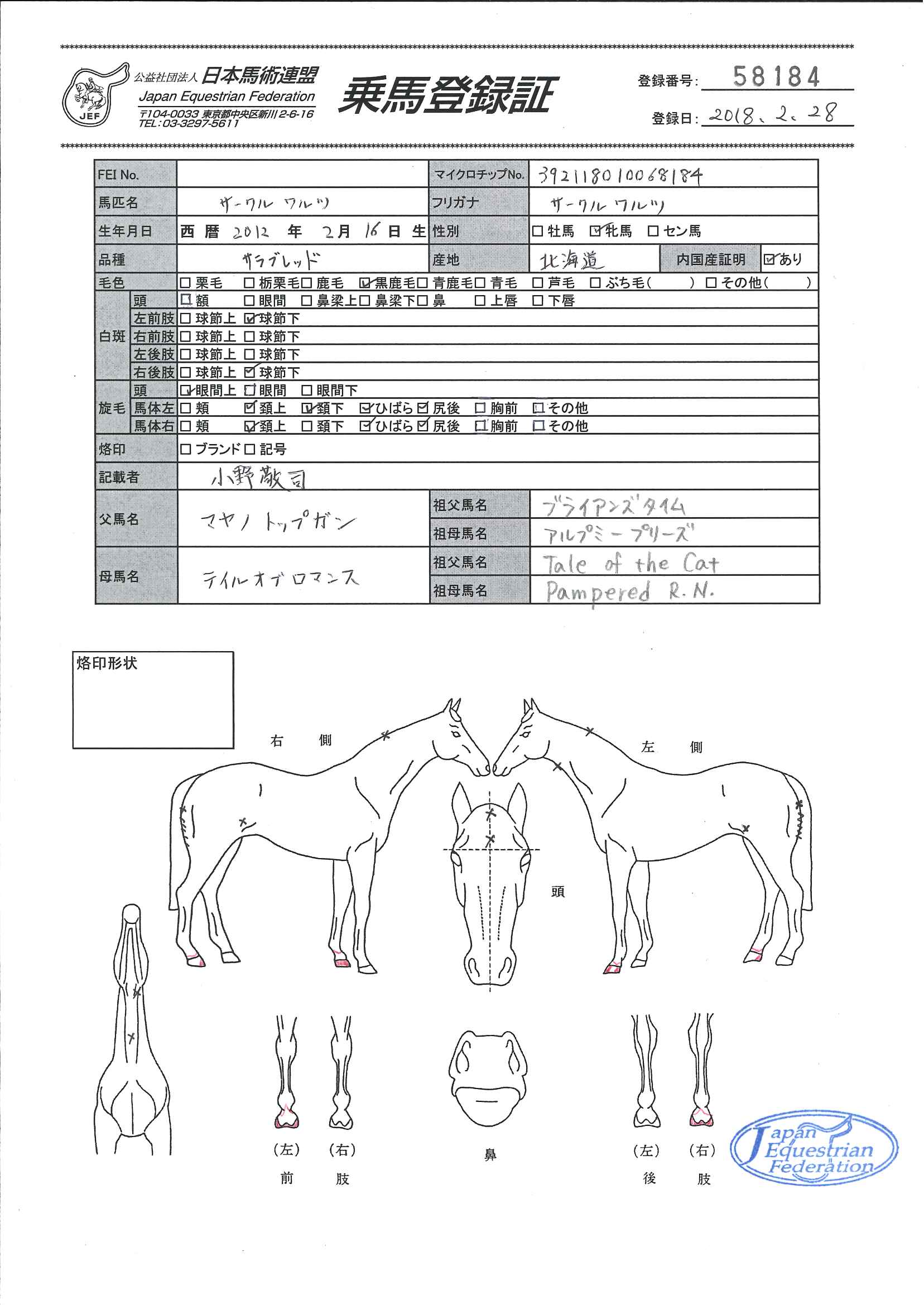 乗馬登録証