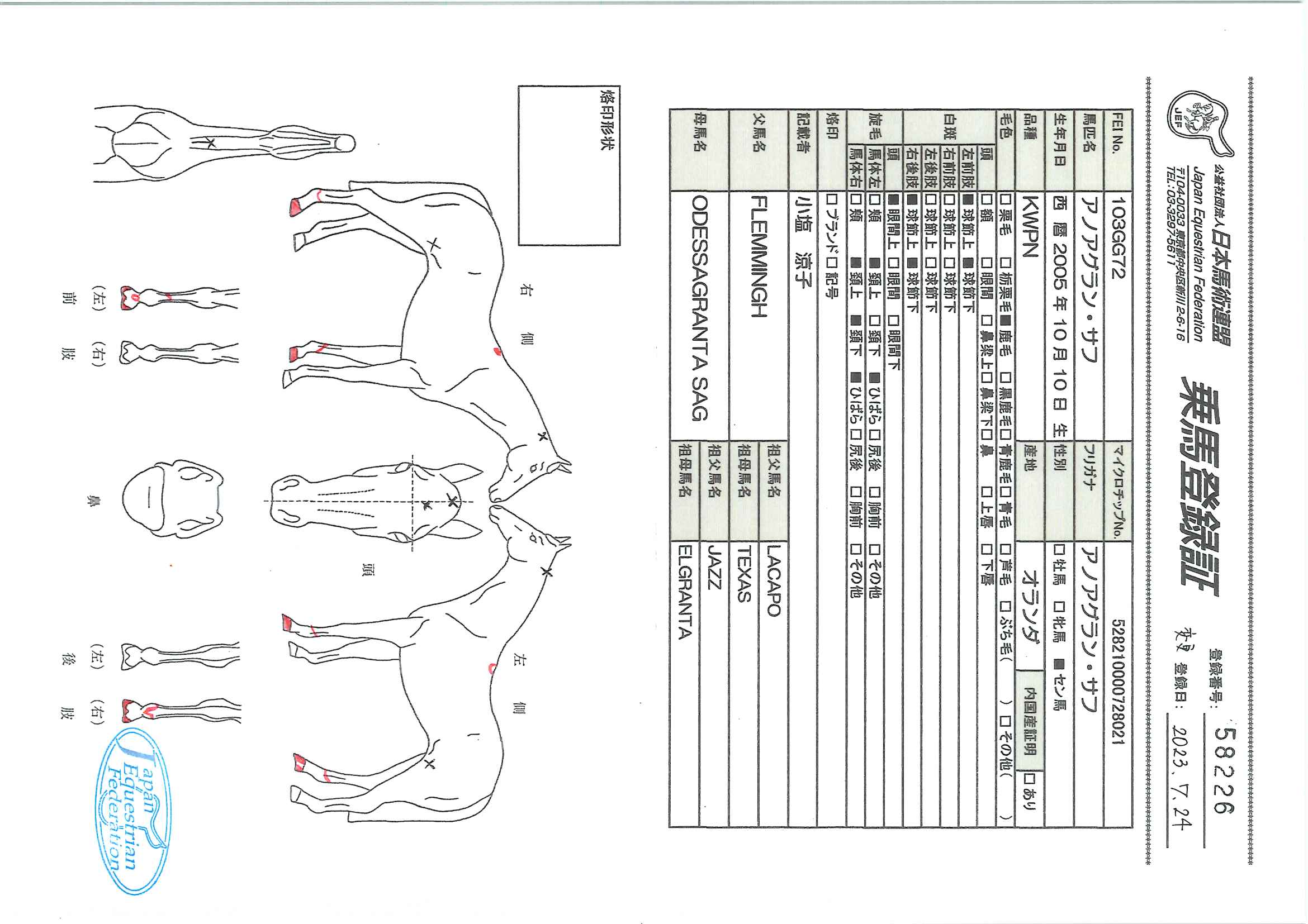 乗馬登録証