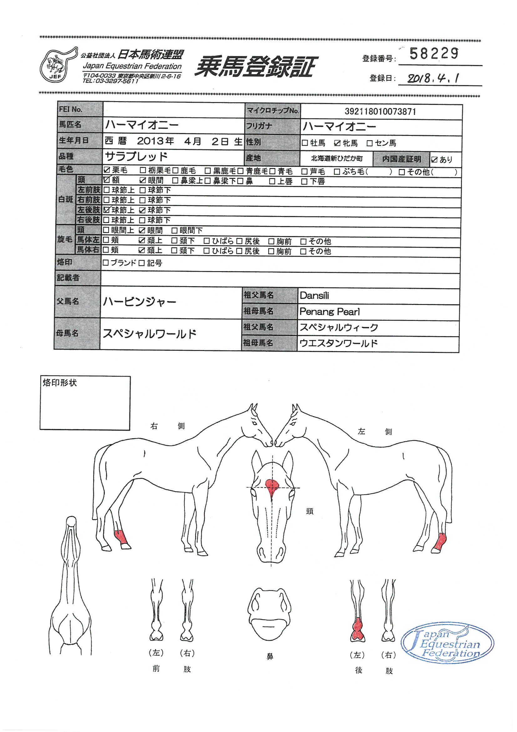 乗馬登録証