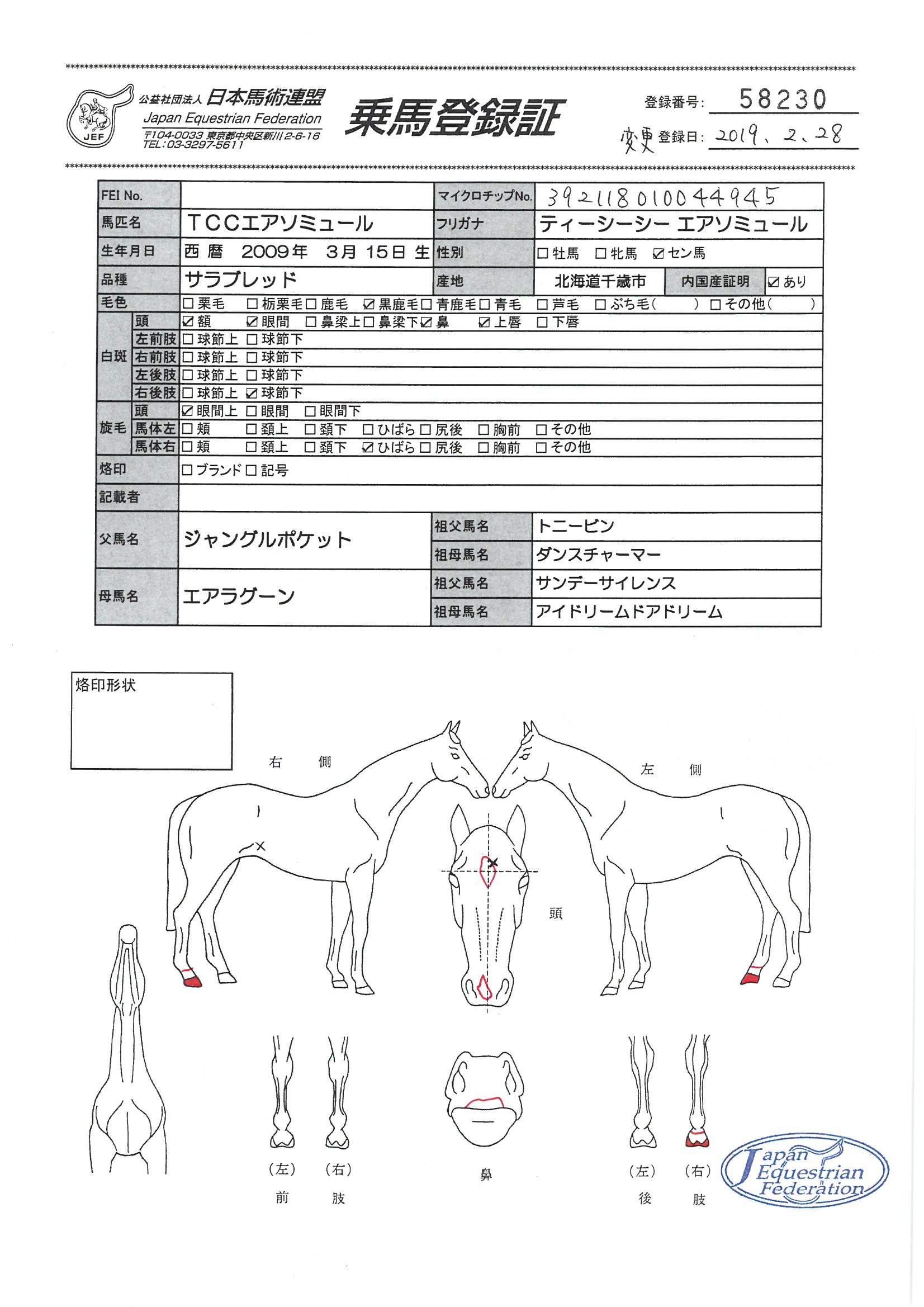 乗馬登録証