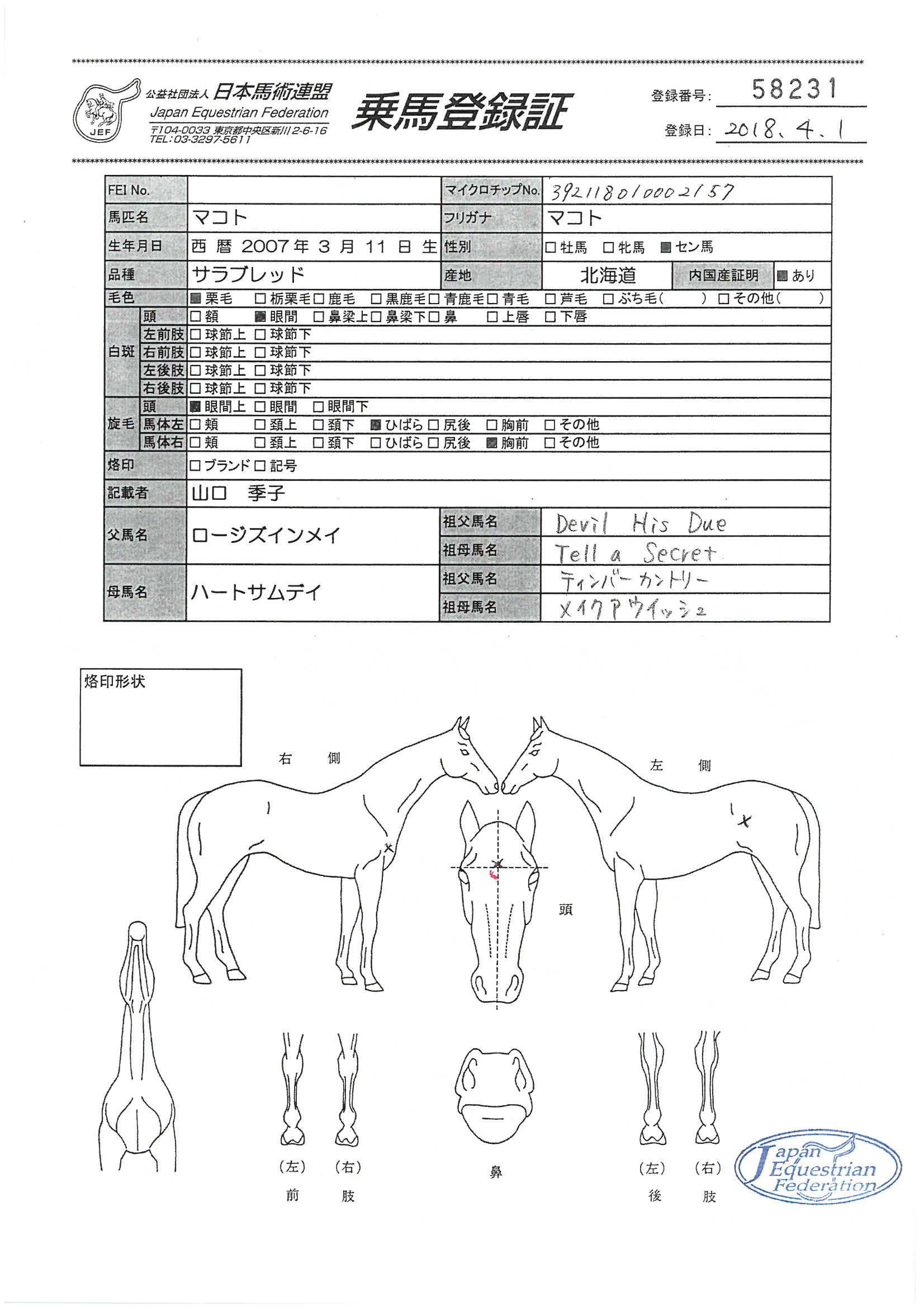 乗馬登録証