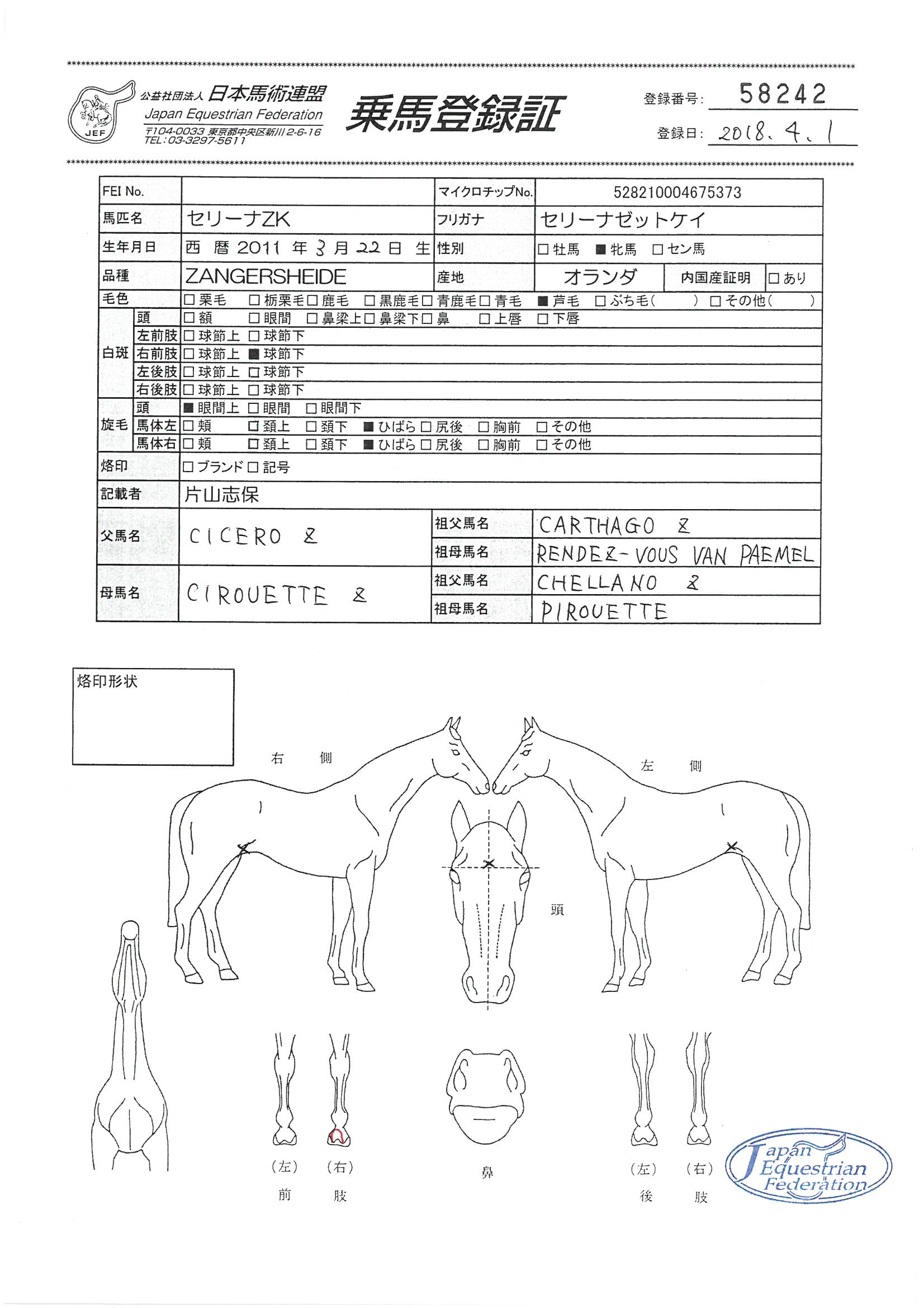 乗馬登録証