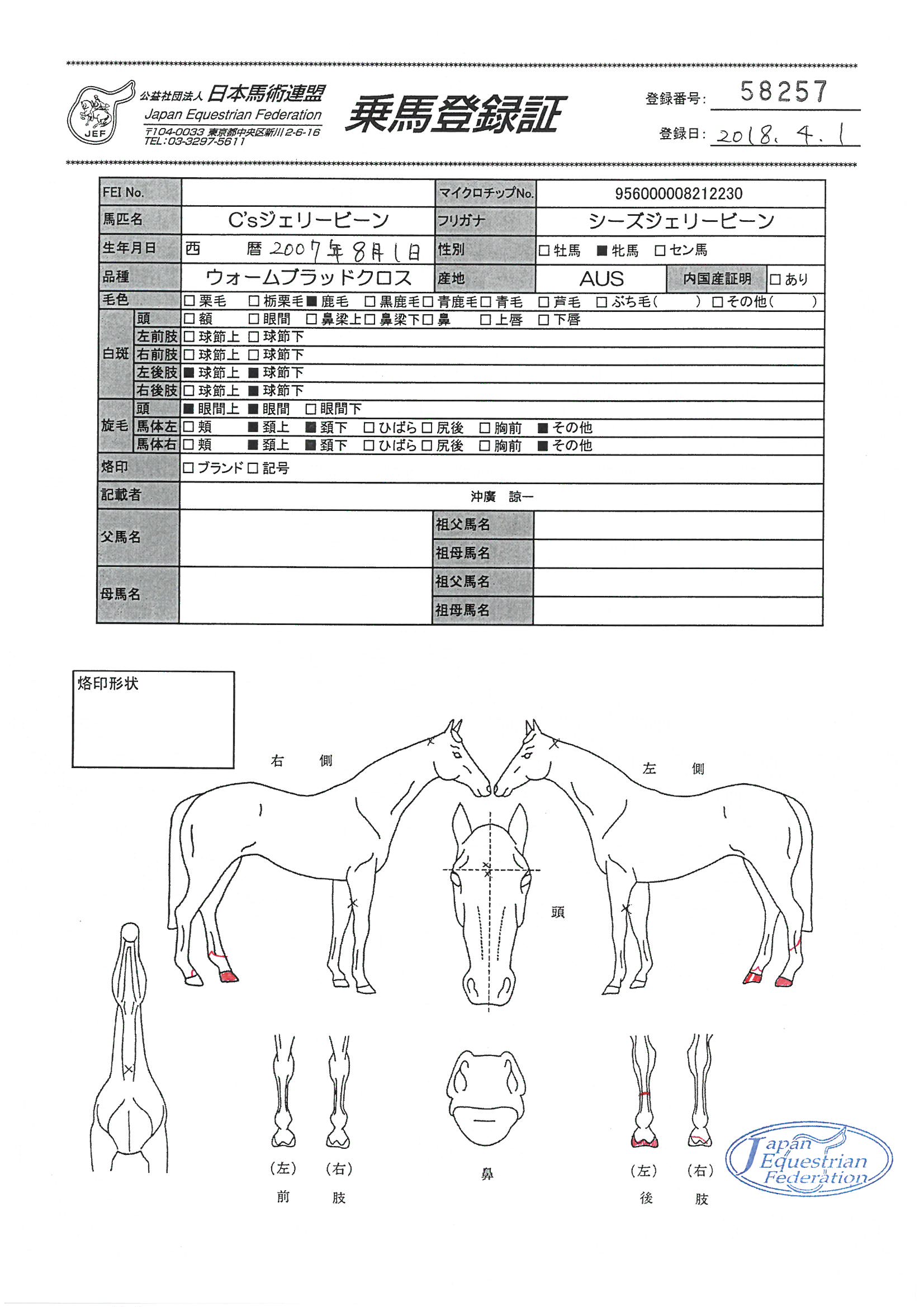 乗馬登録証