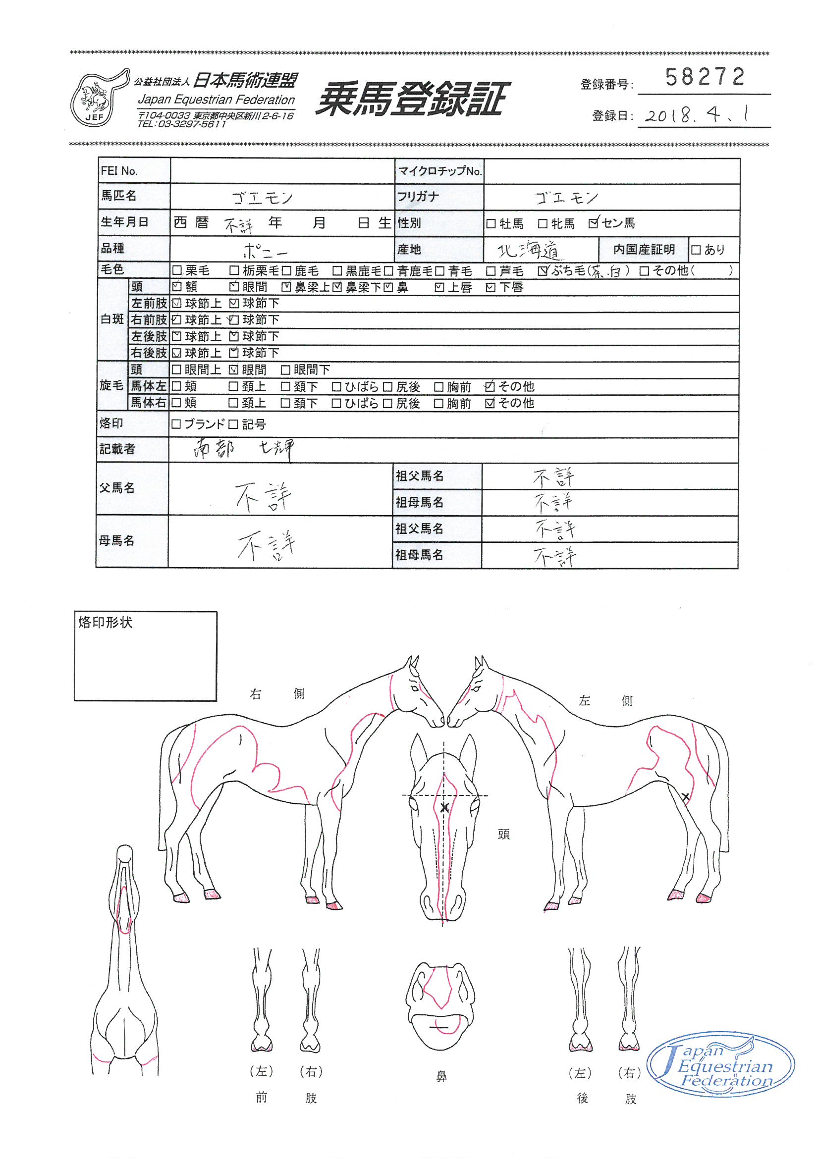 乗馬登録証