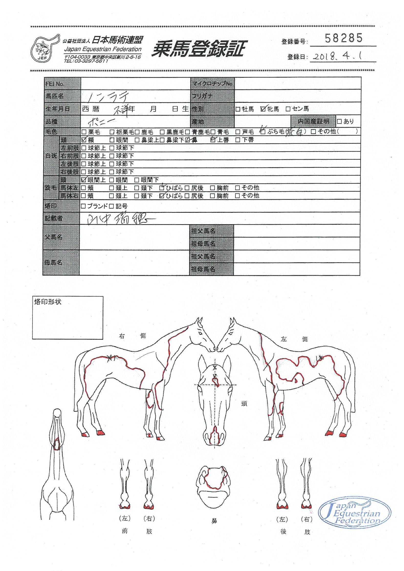 乗馬登録証