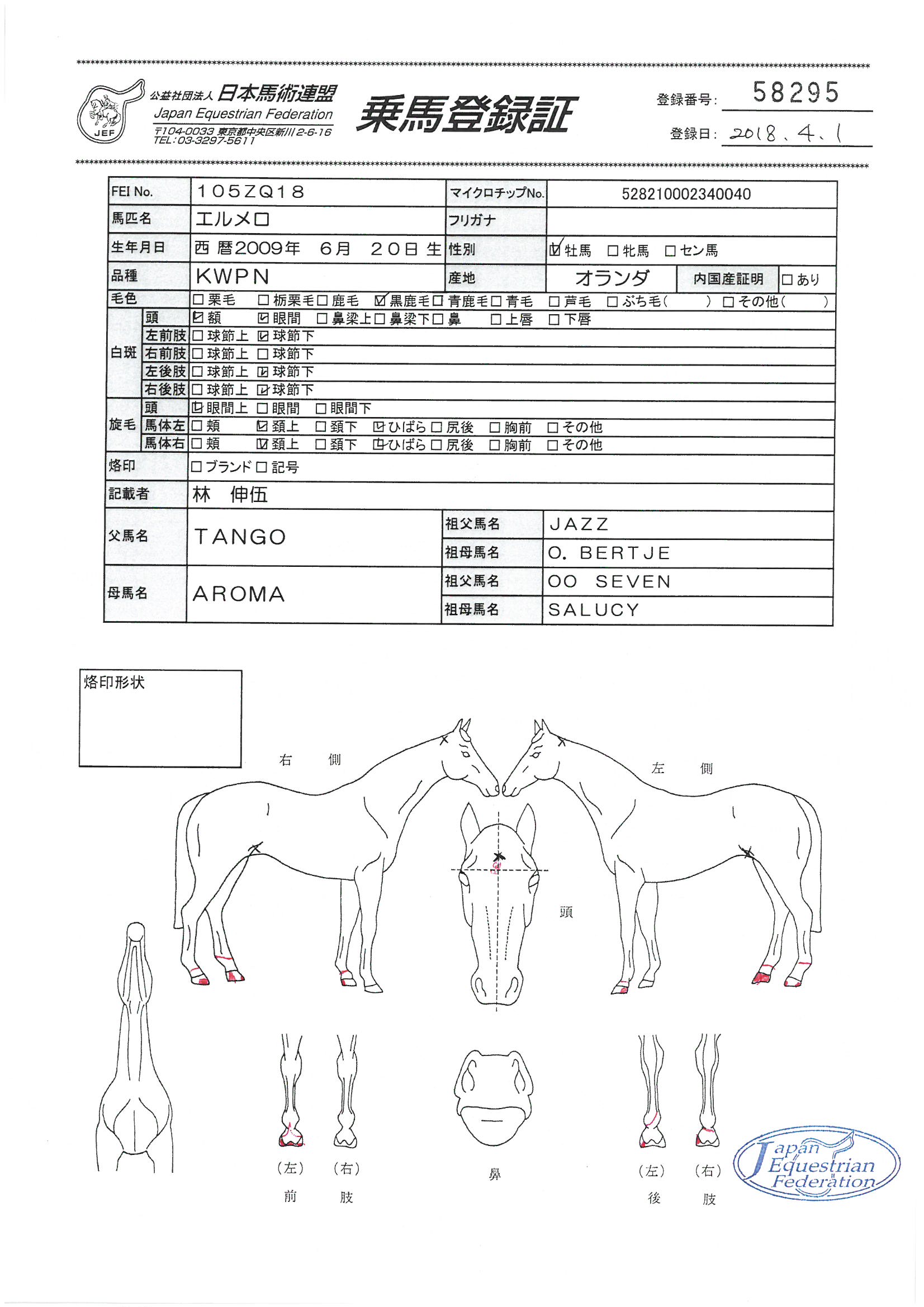 乗馬登録証