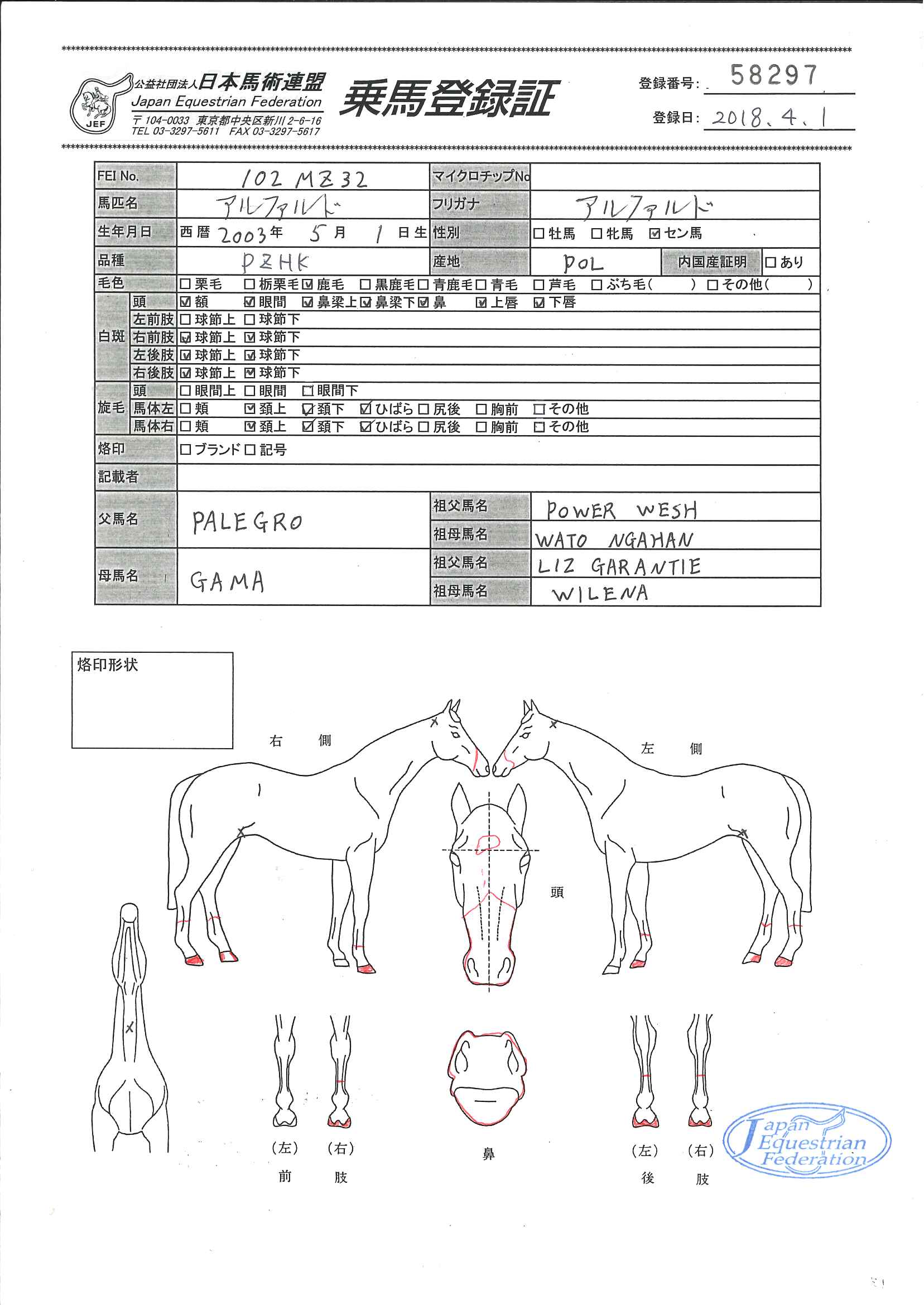 乗馬登録証