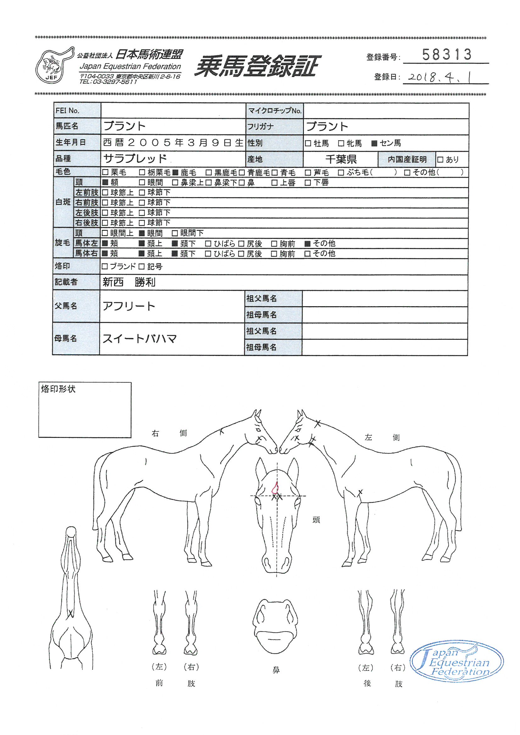 乗馬登録証