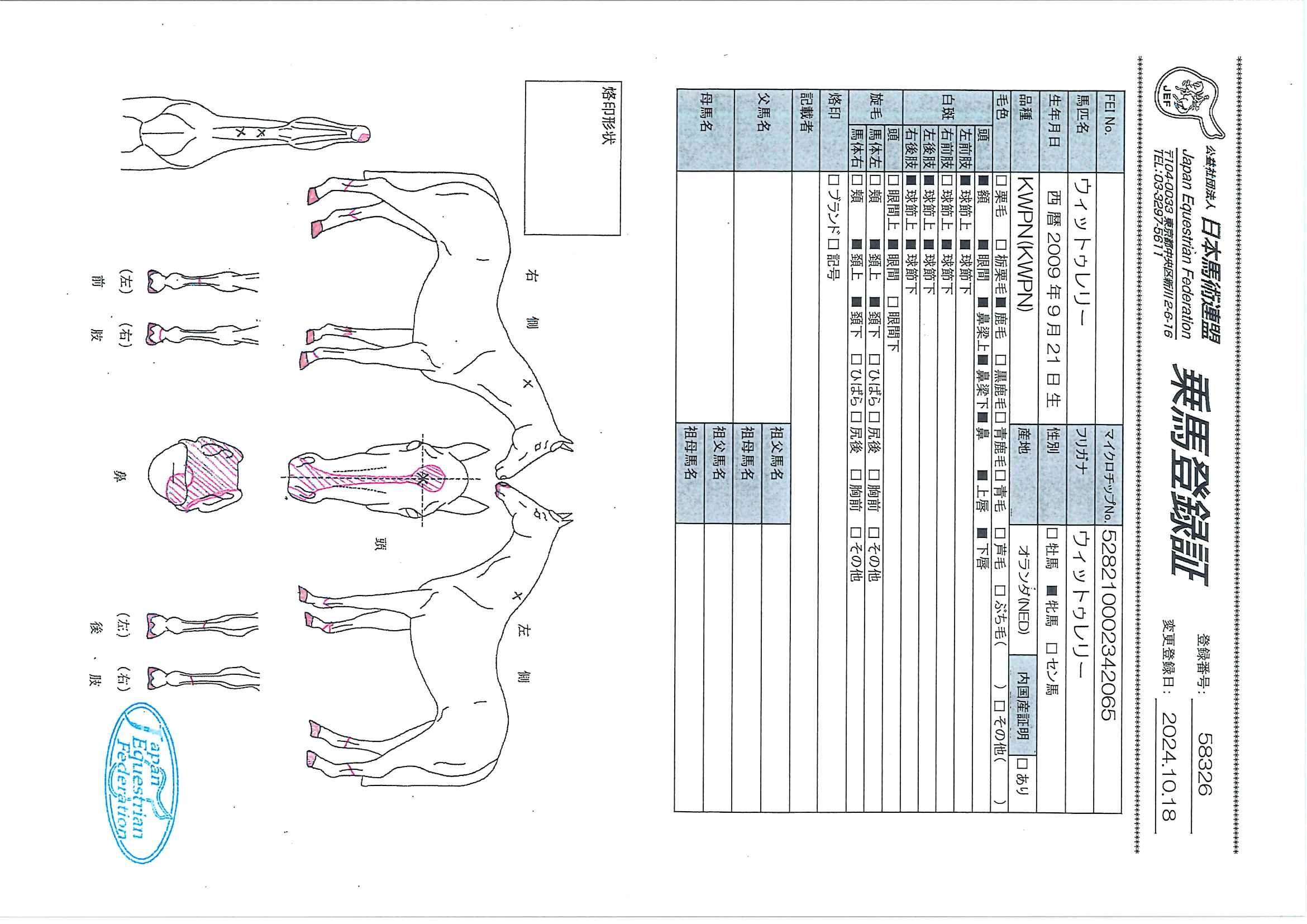 乗馬登録証