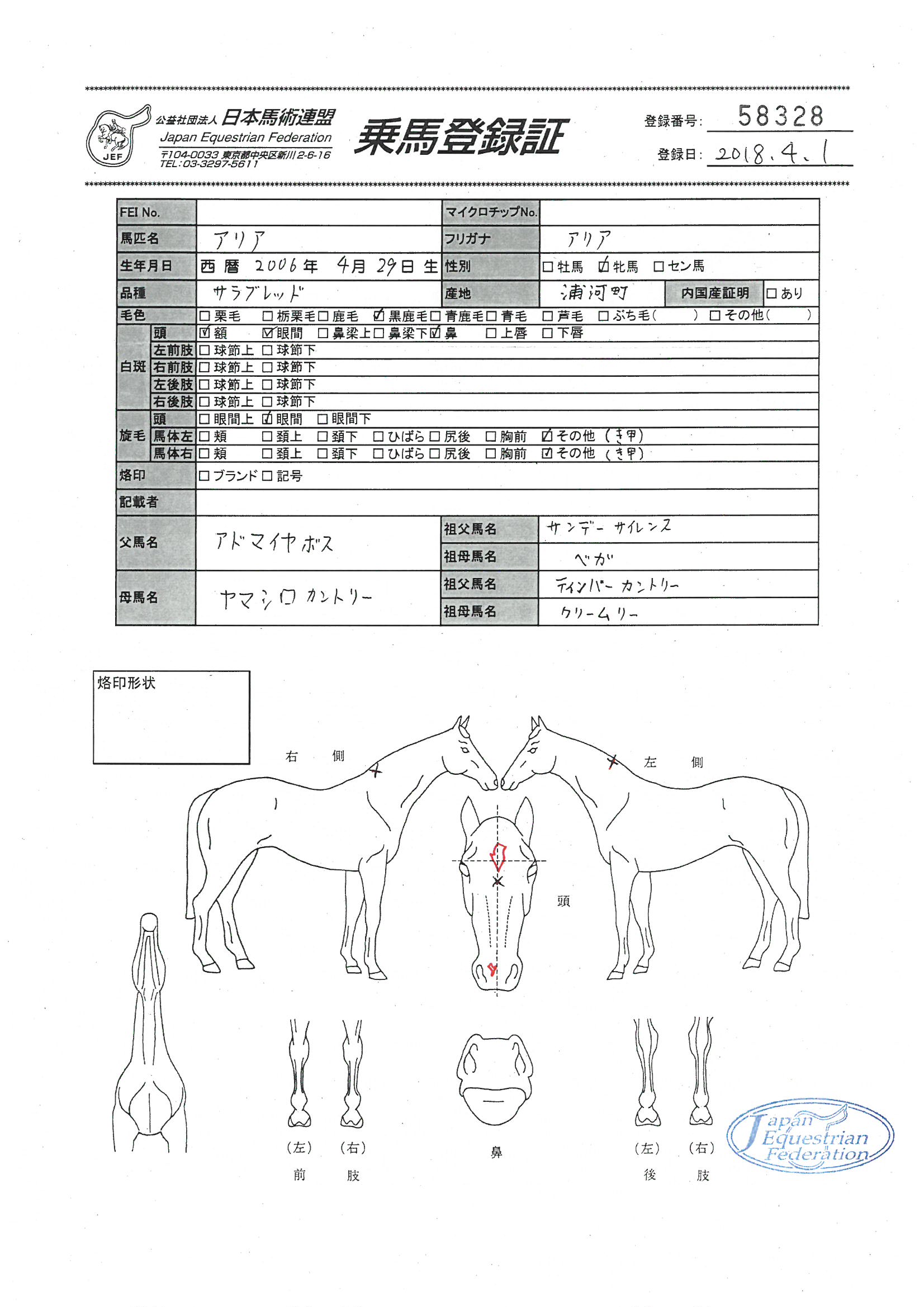 乗馬登録証