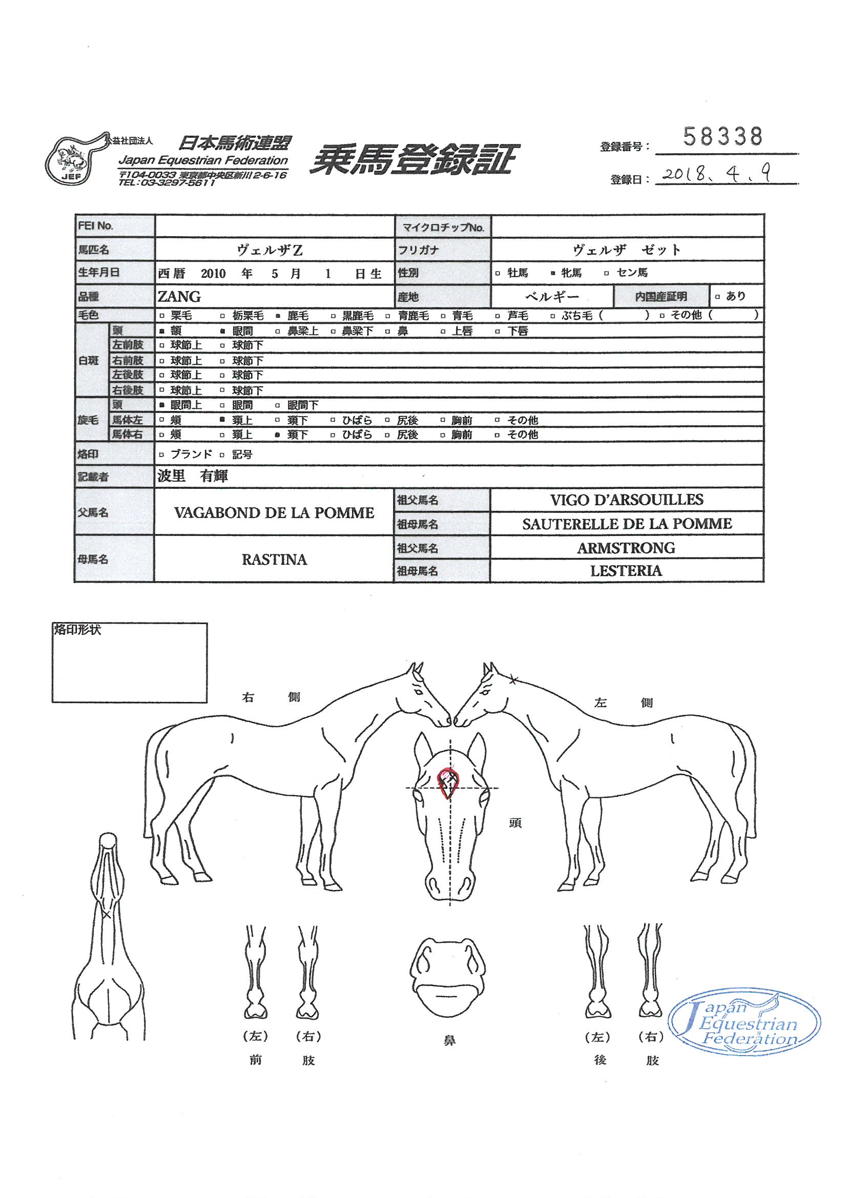 公益社団法人 日本馬術連盟 《Japan Equestrian Federation