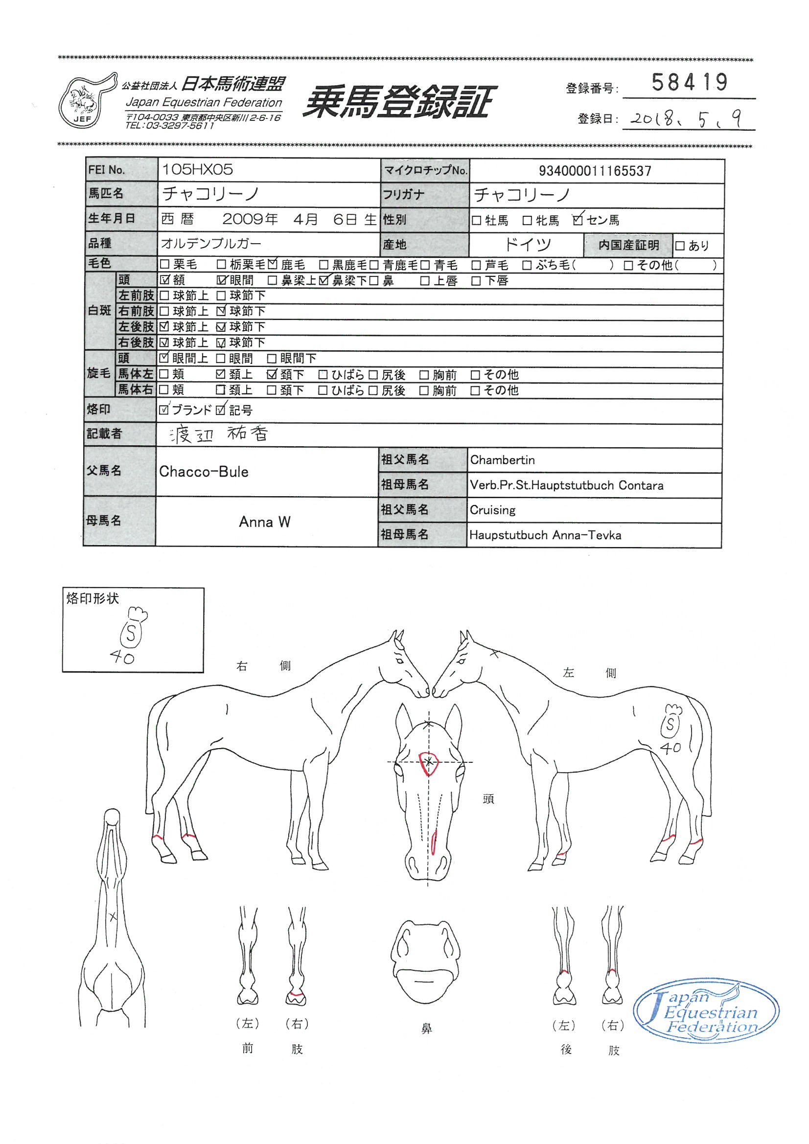 厩舎へ帰ろう 1~7巻＋書斎の競馬1〜4巻 11冊セット - メルカリ
