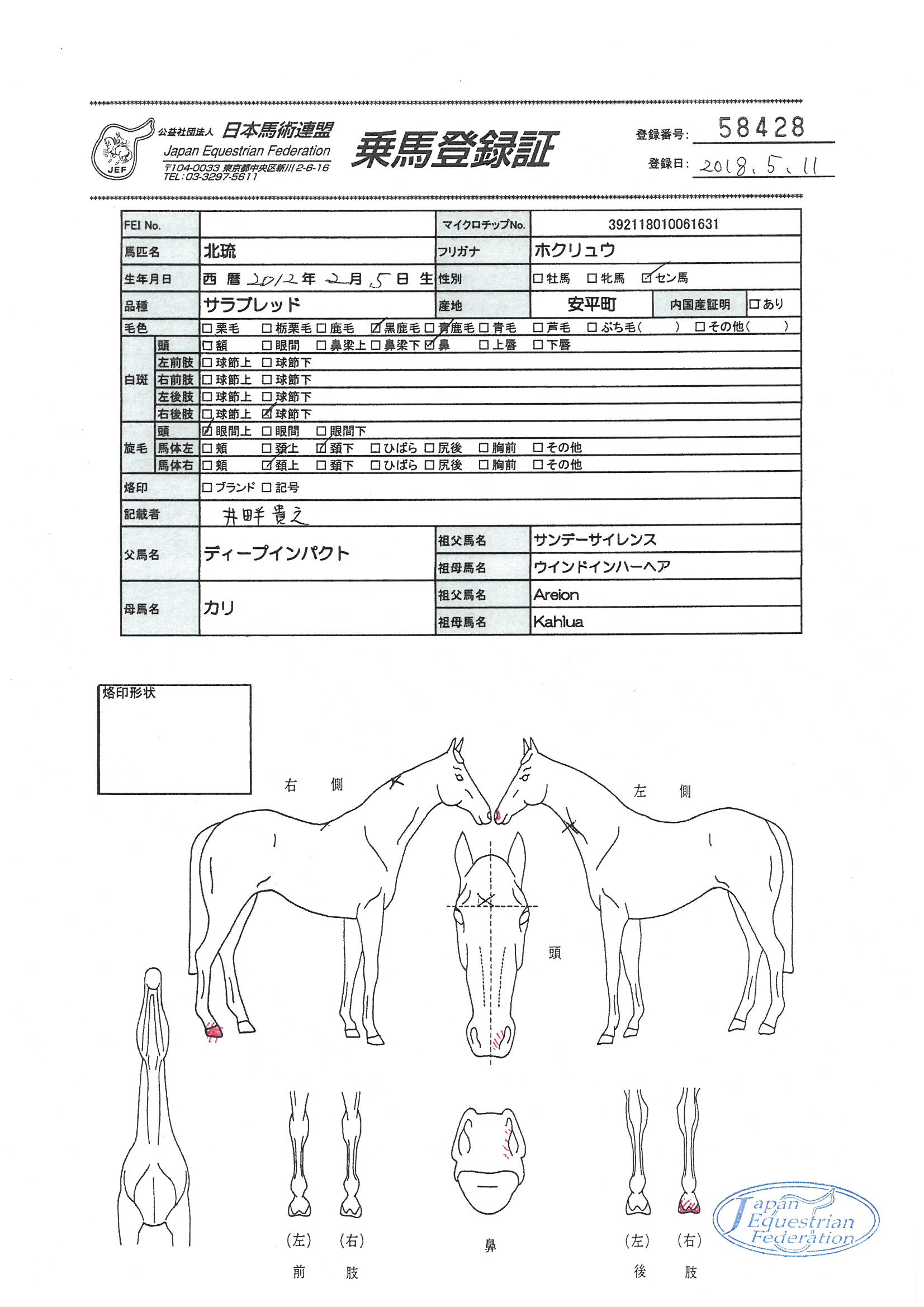 乗馬登録証
