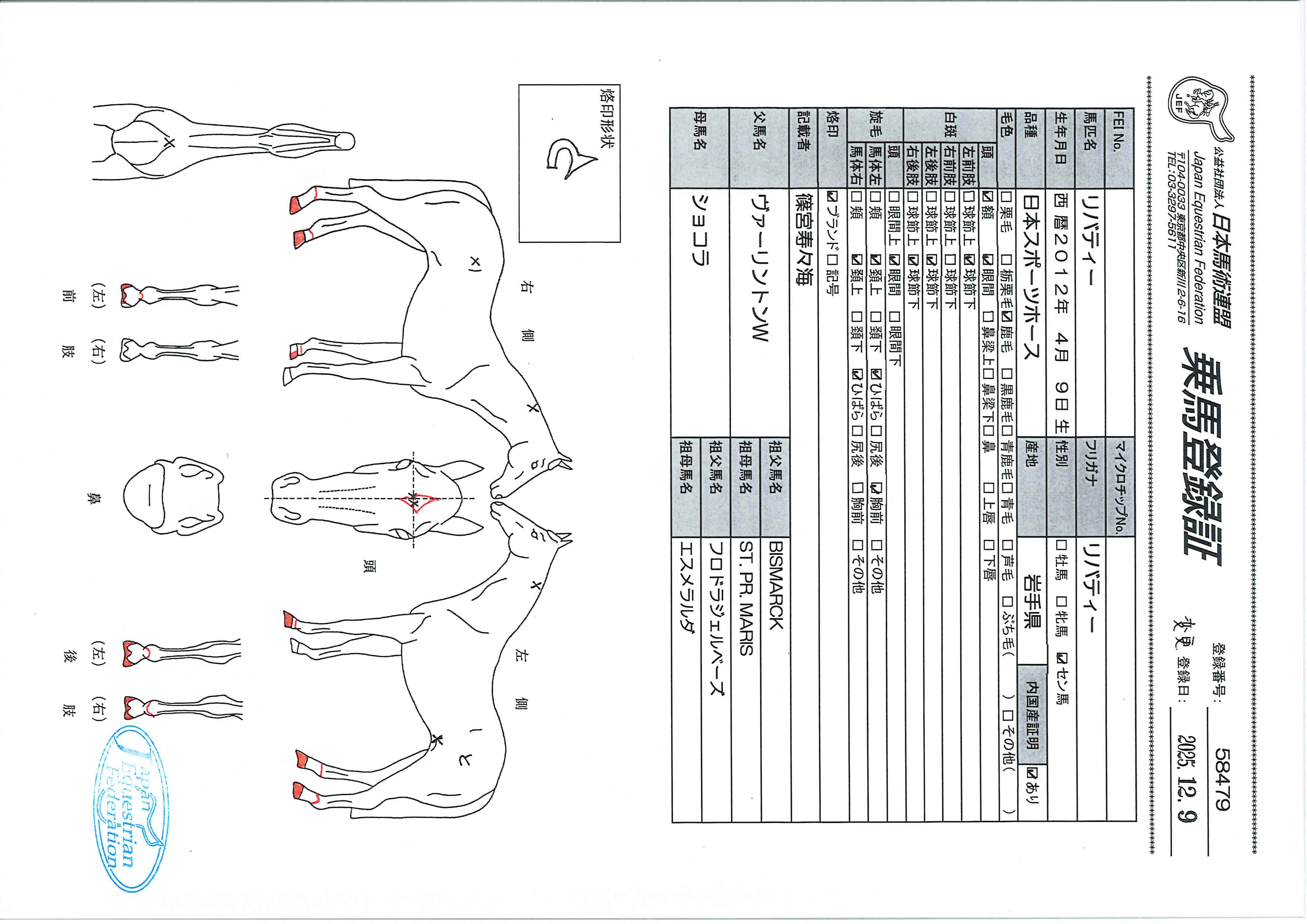 乗馬登録証