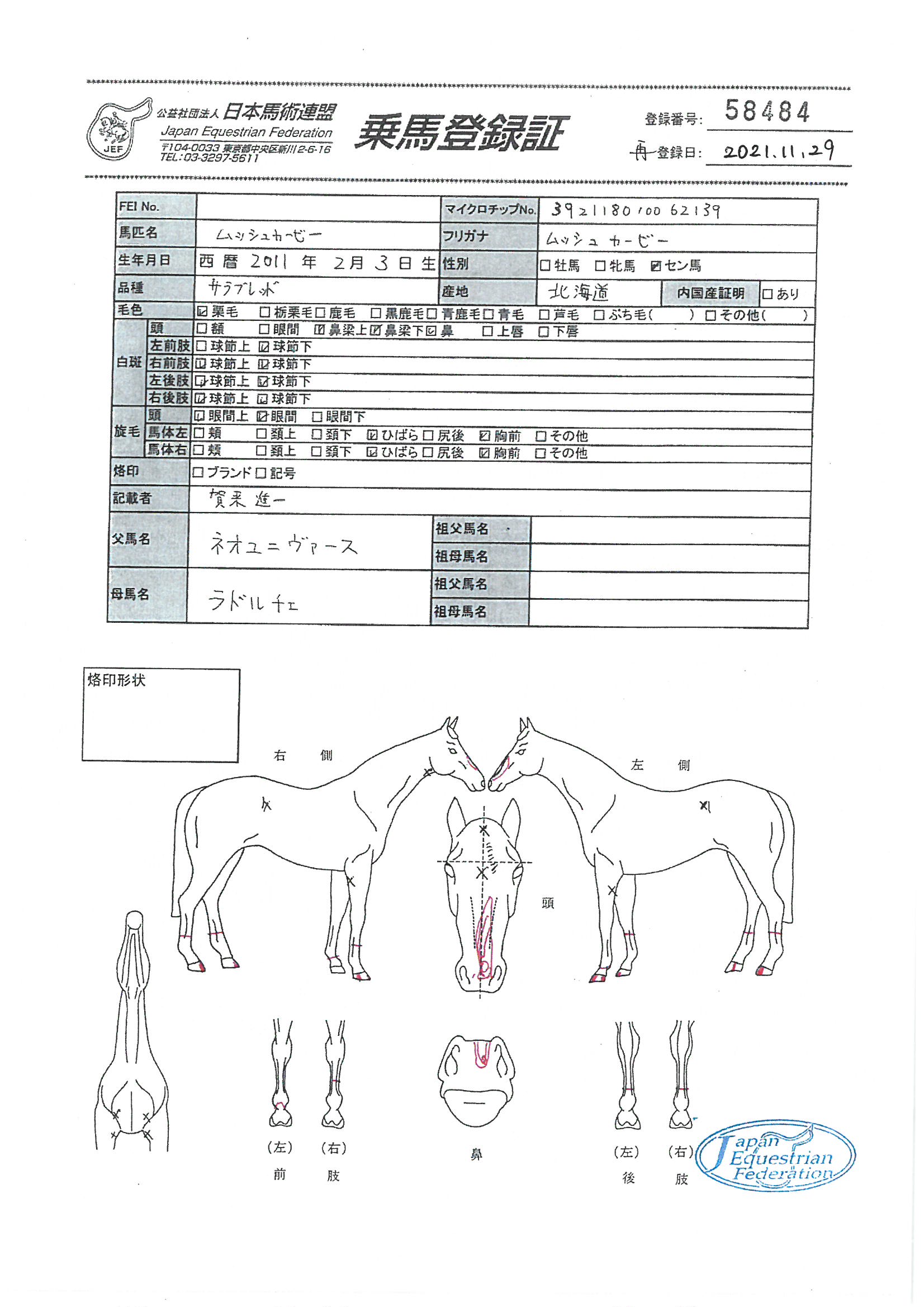 乗馬登録証