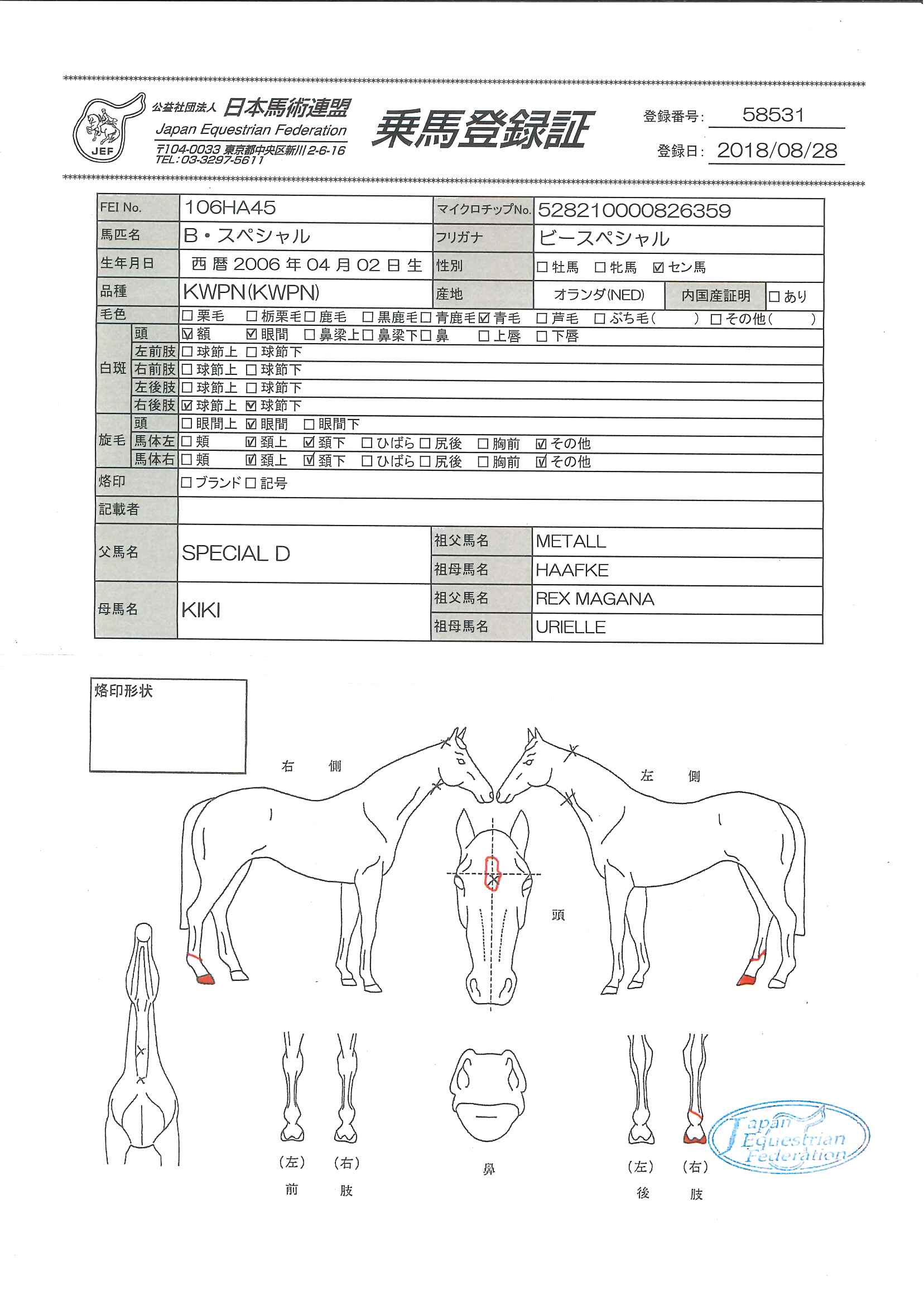 乗馬登録証