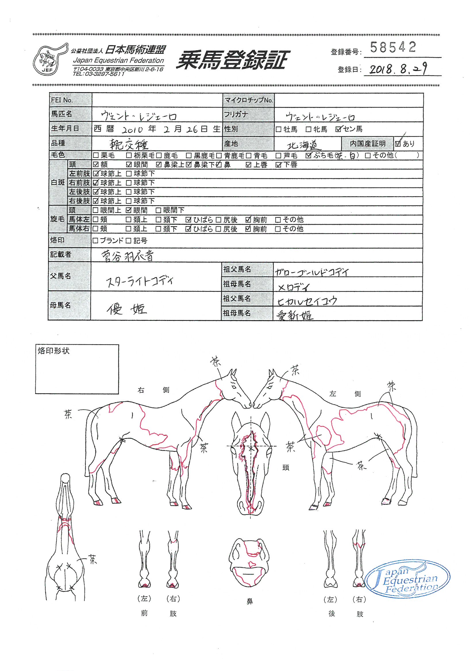 乗馬登録証