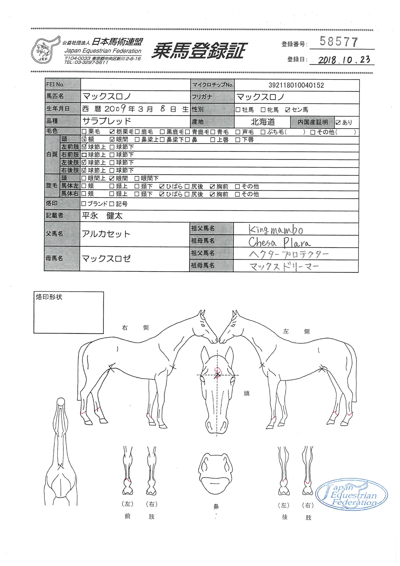 乗馬登録証
