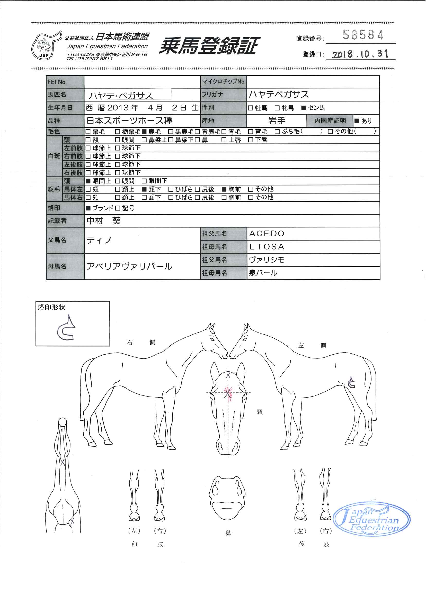 乗馬登録証