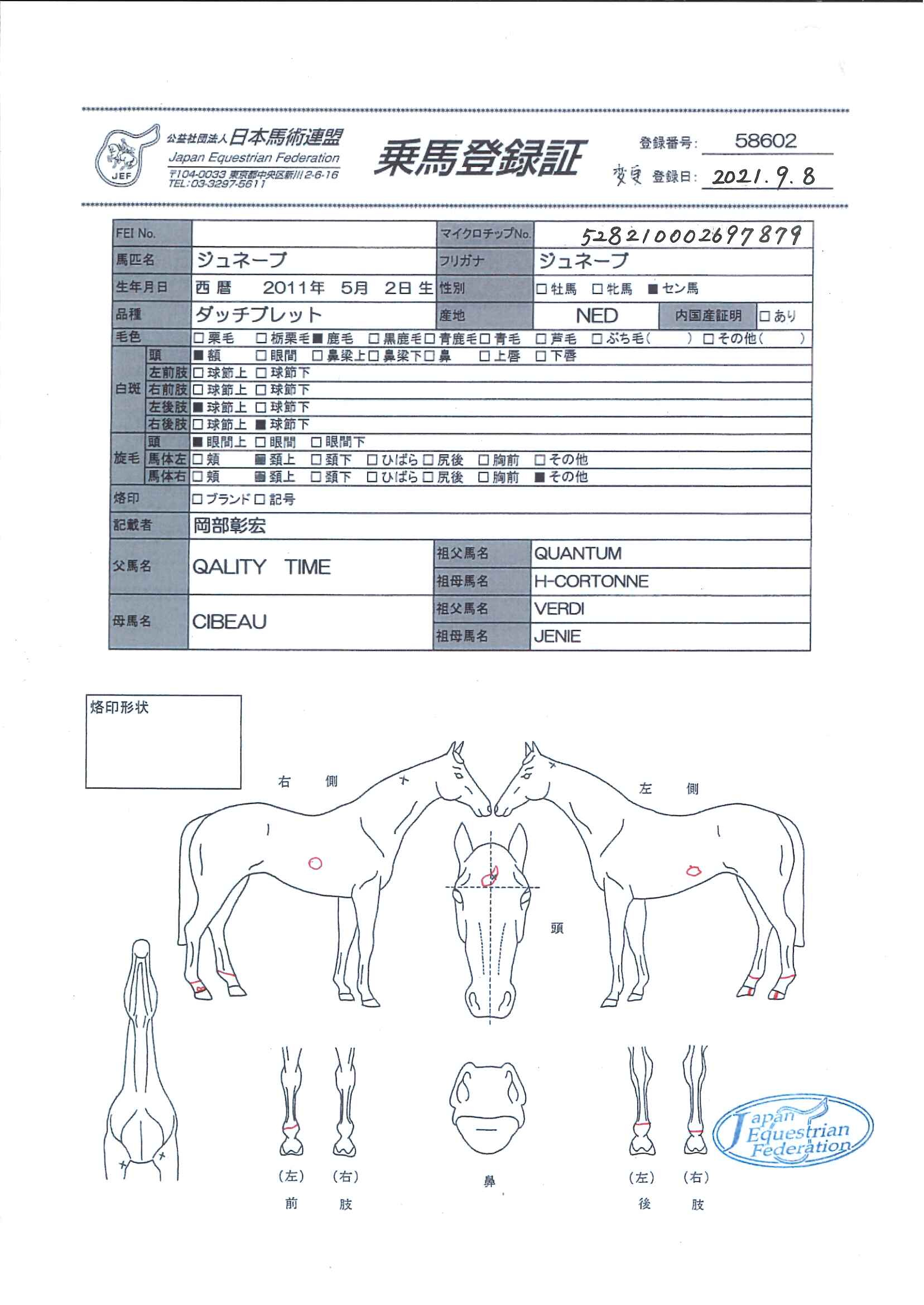 乗馬登録証