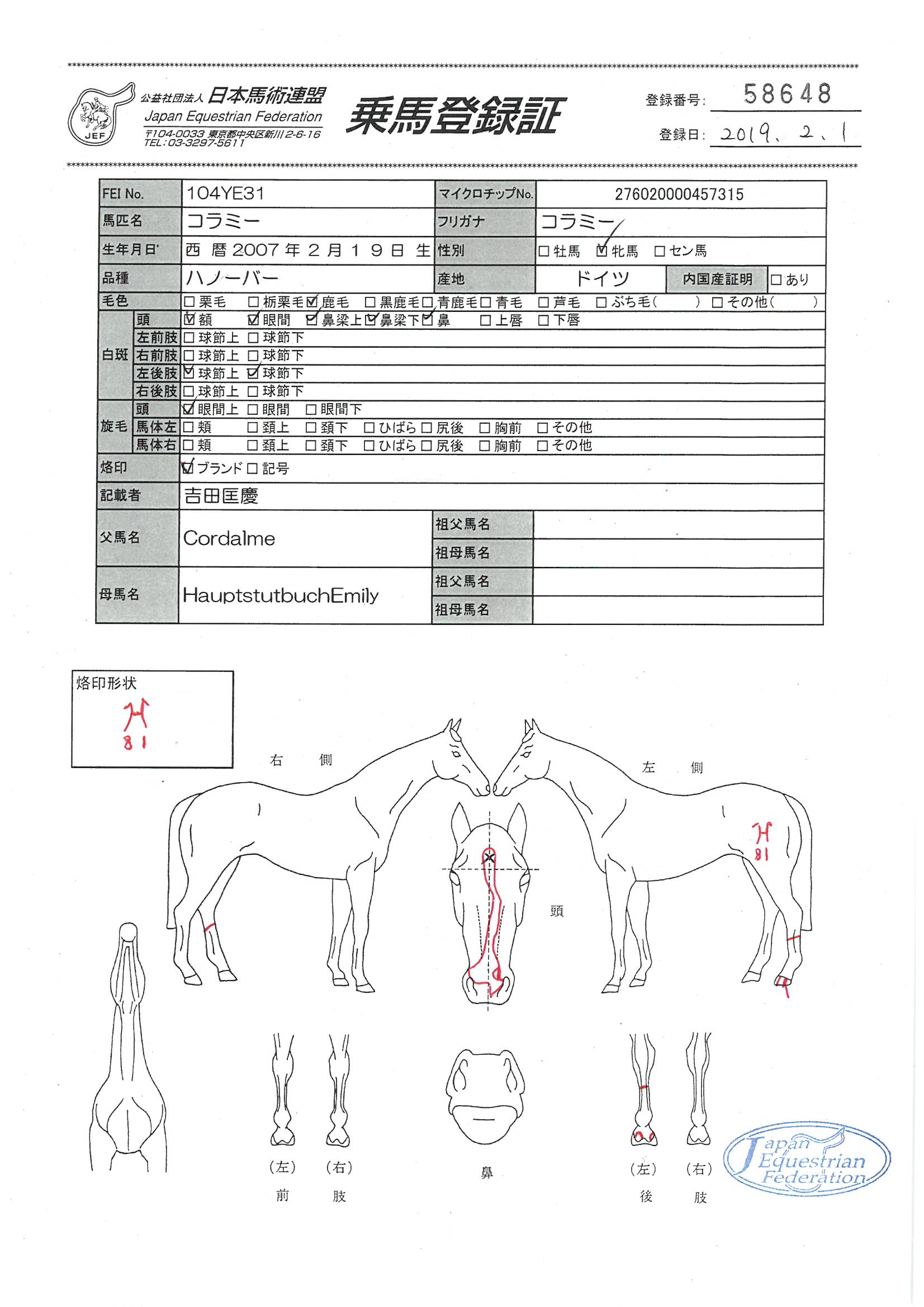 馬の言葉に耳を傾けて 続「馬楽のすすめ」 極上の乗馬指導術