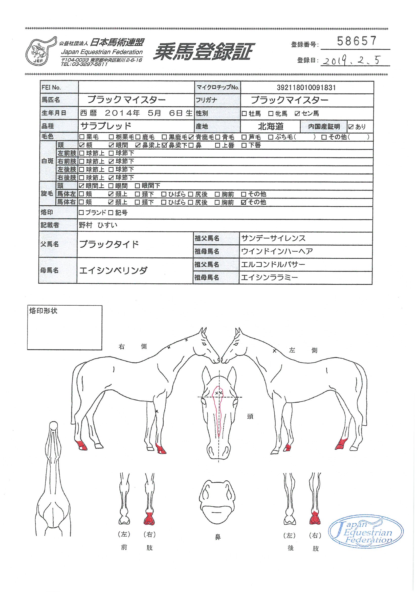 乗馬登録証