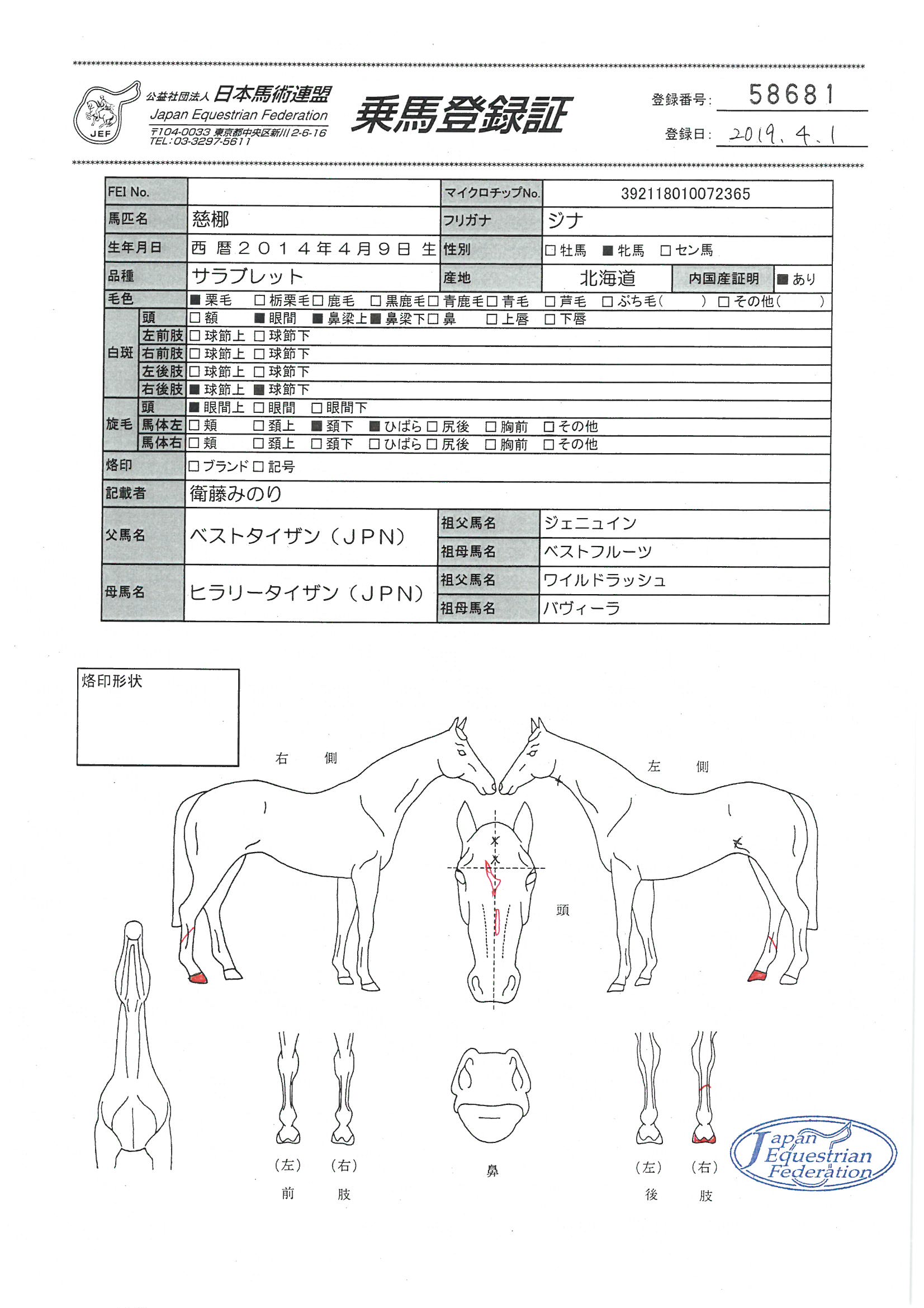 乗馬登録証