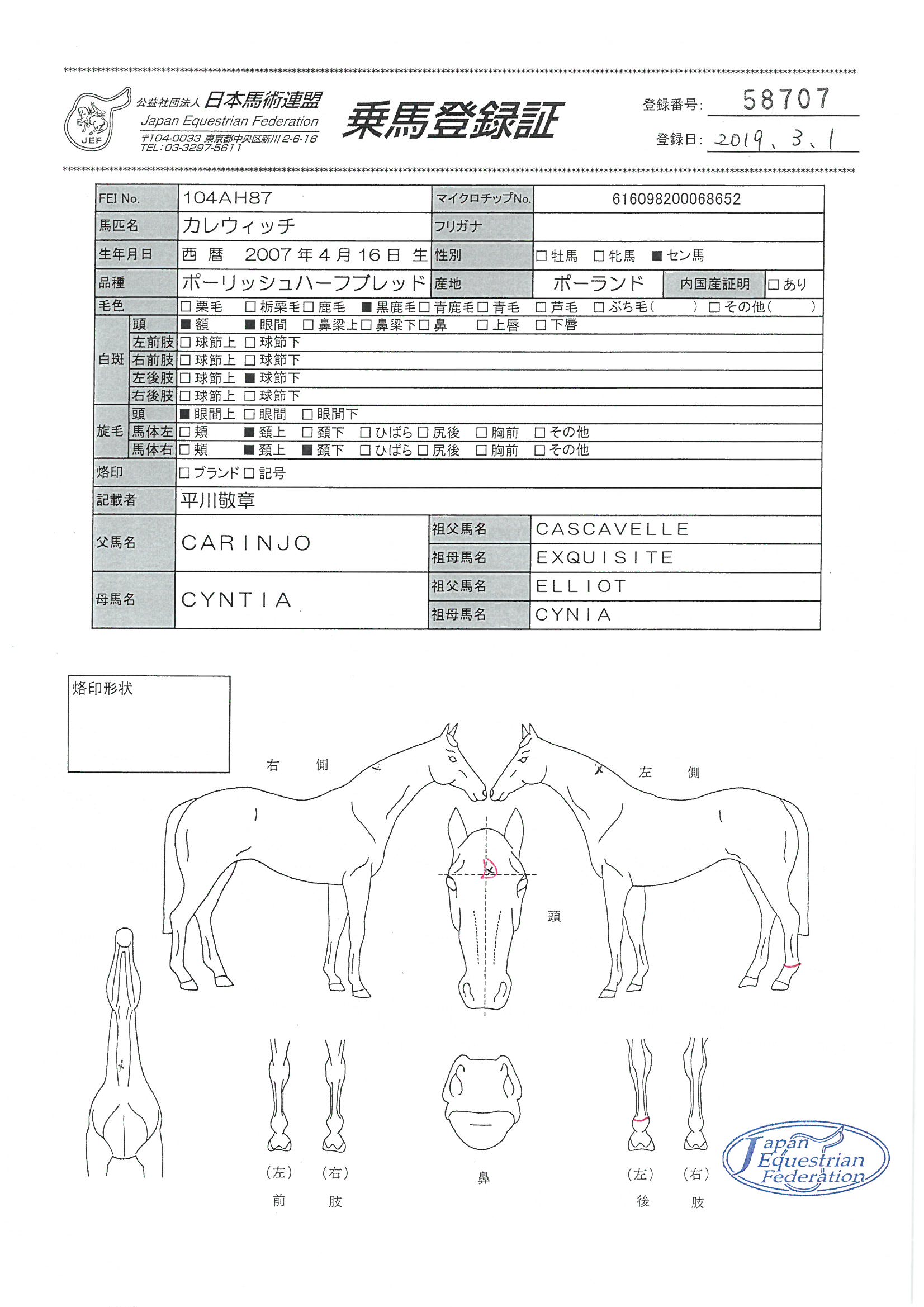 乗馬登録証