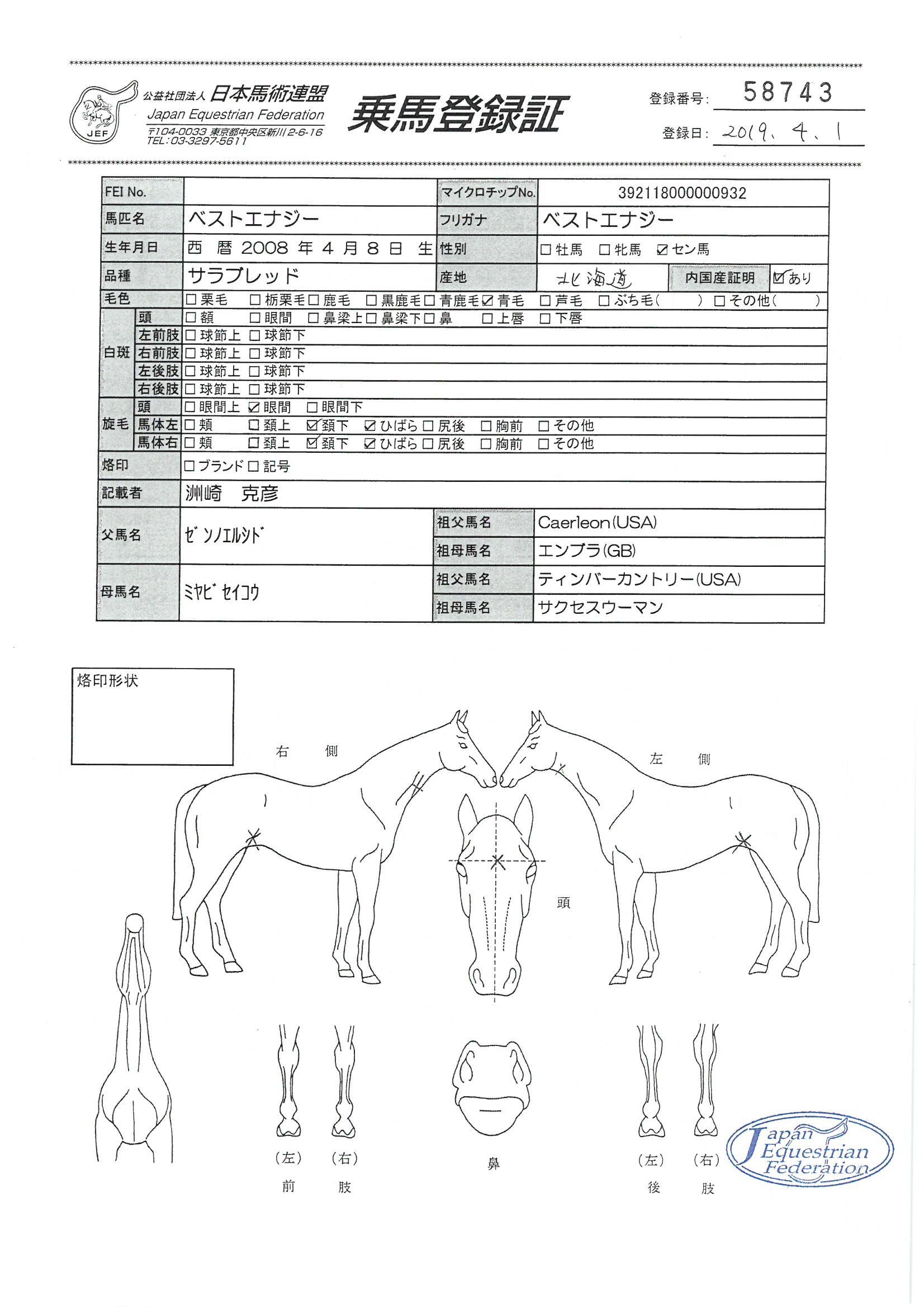乗馬登録証
