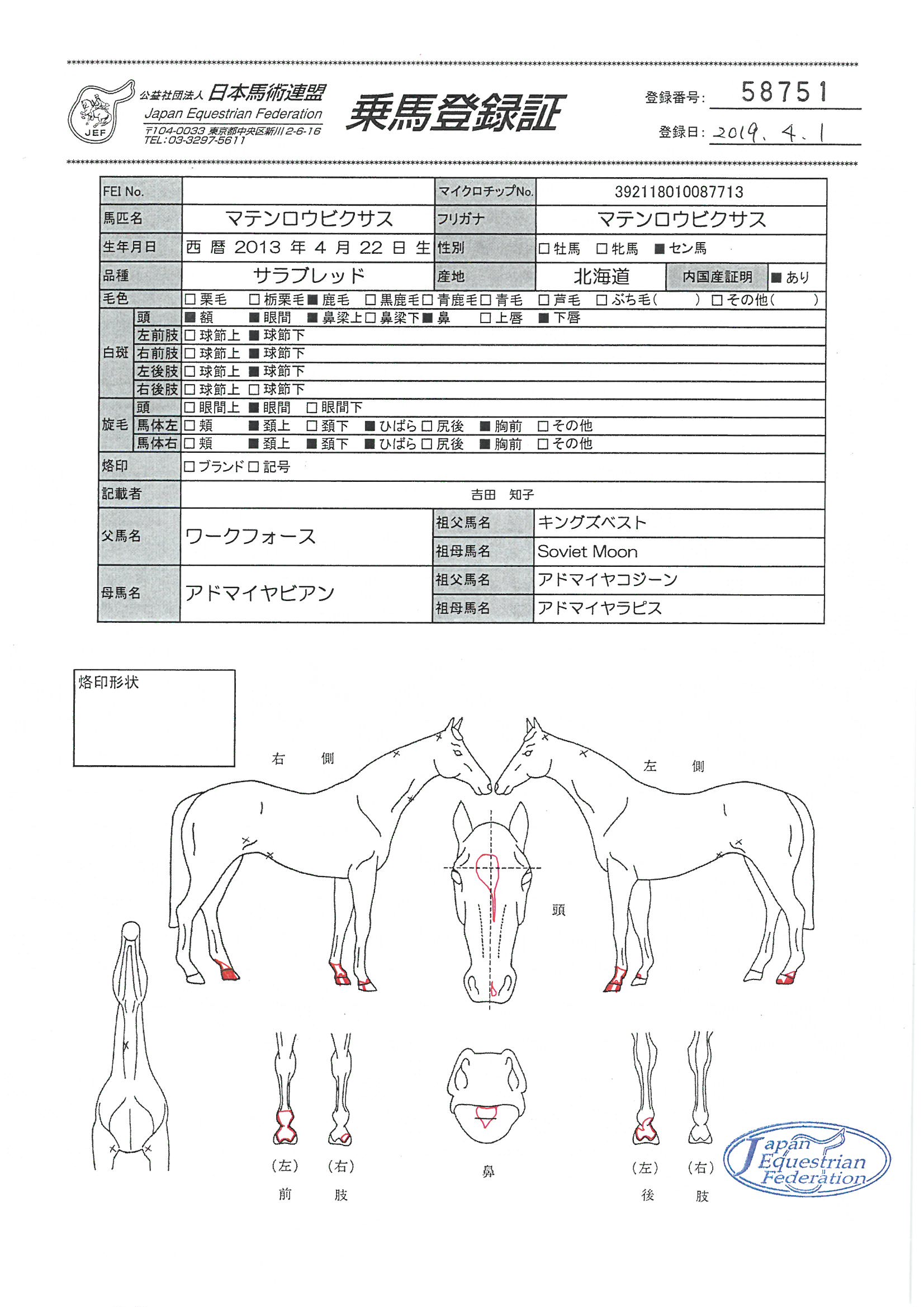 乗馬登録証