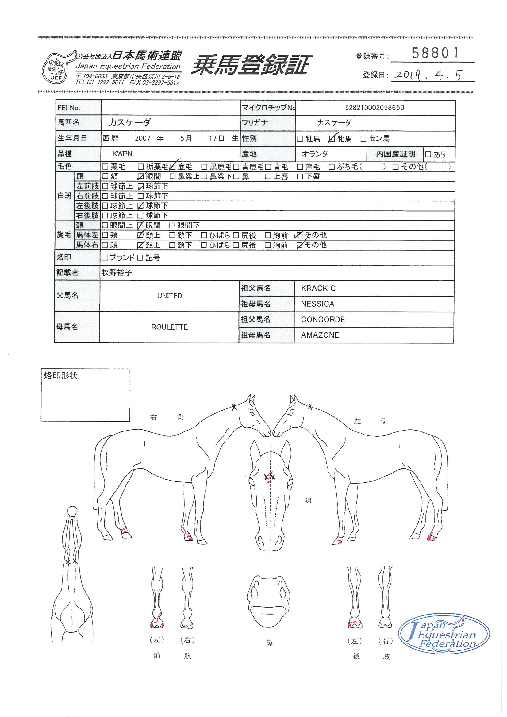 乗馬登録証