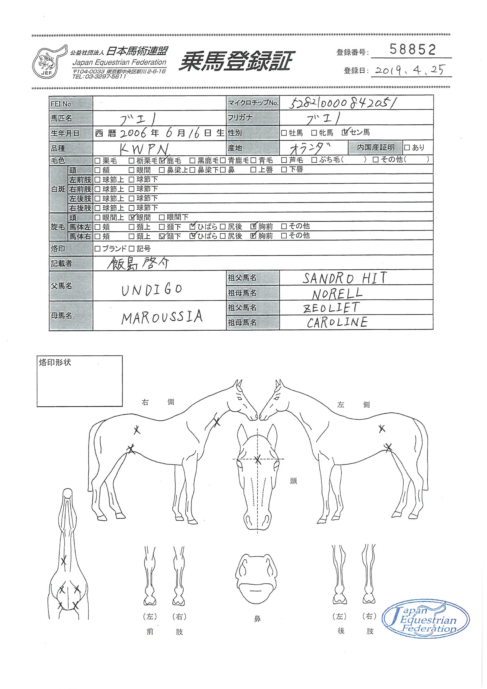乗馬登録証