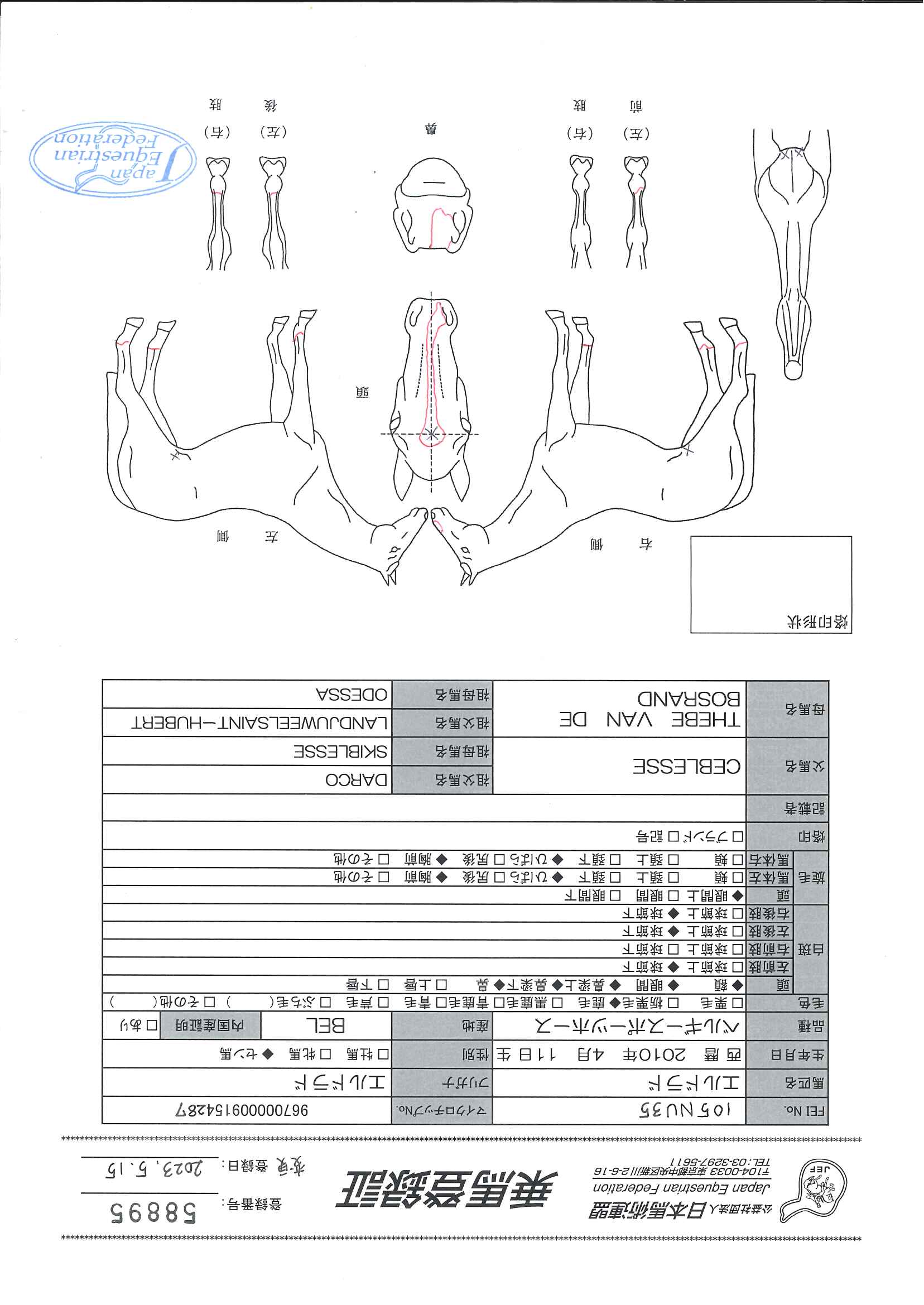 乗馬登録証