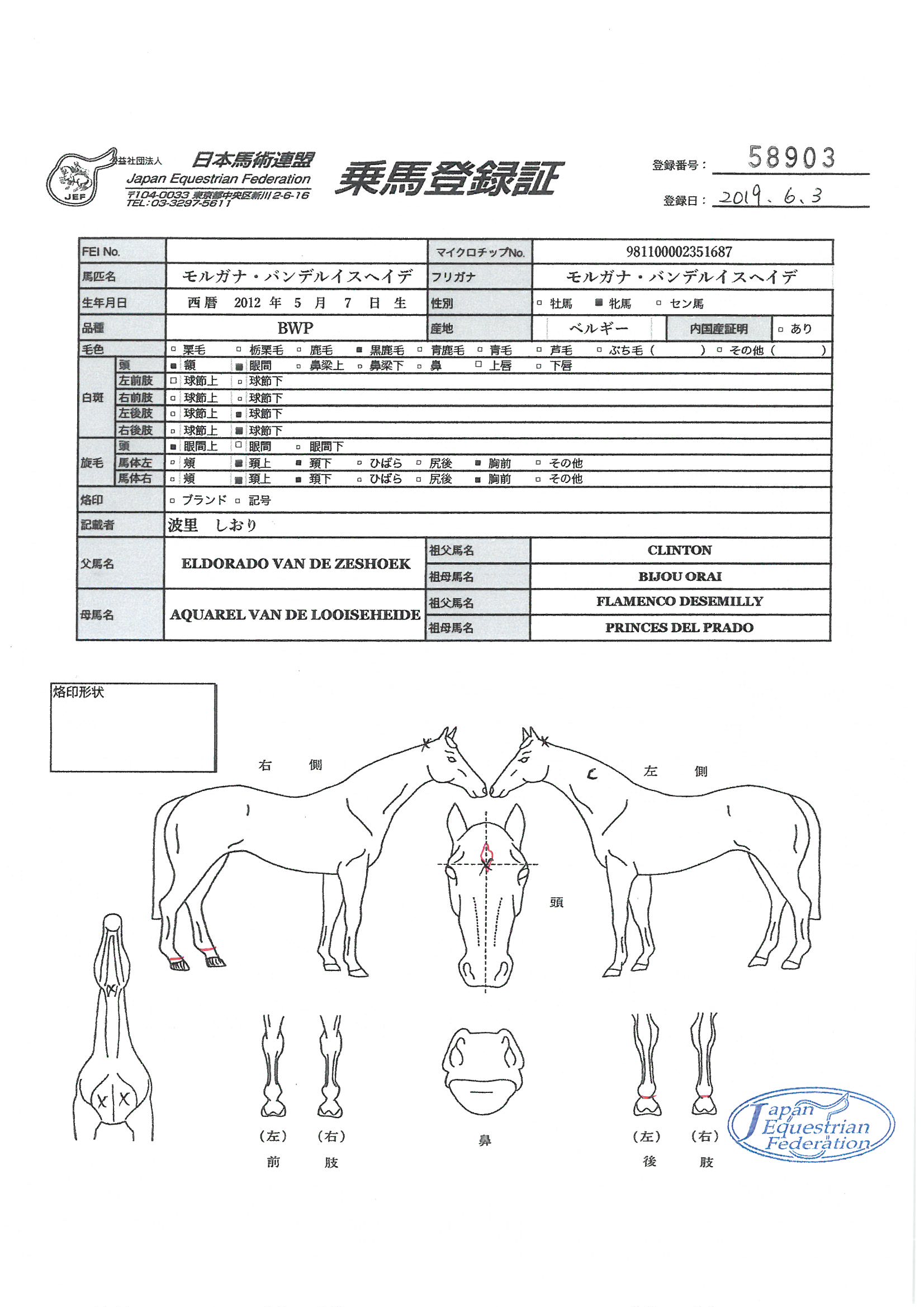 乗馬登録証