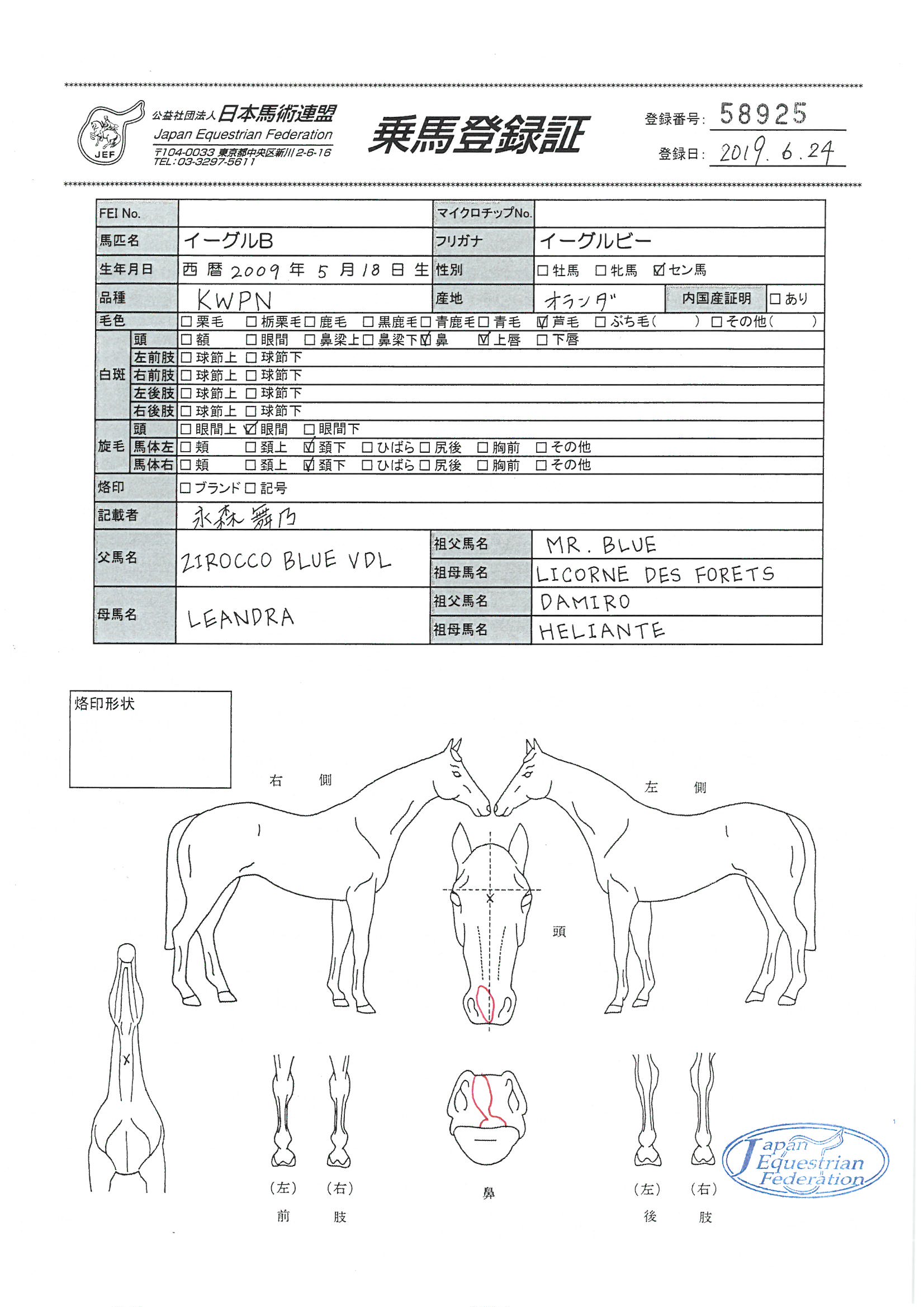 乗馬登録証