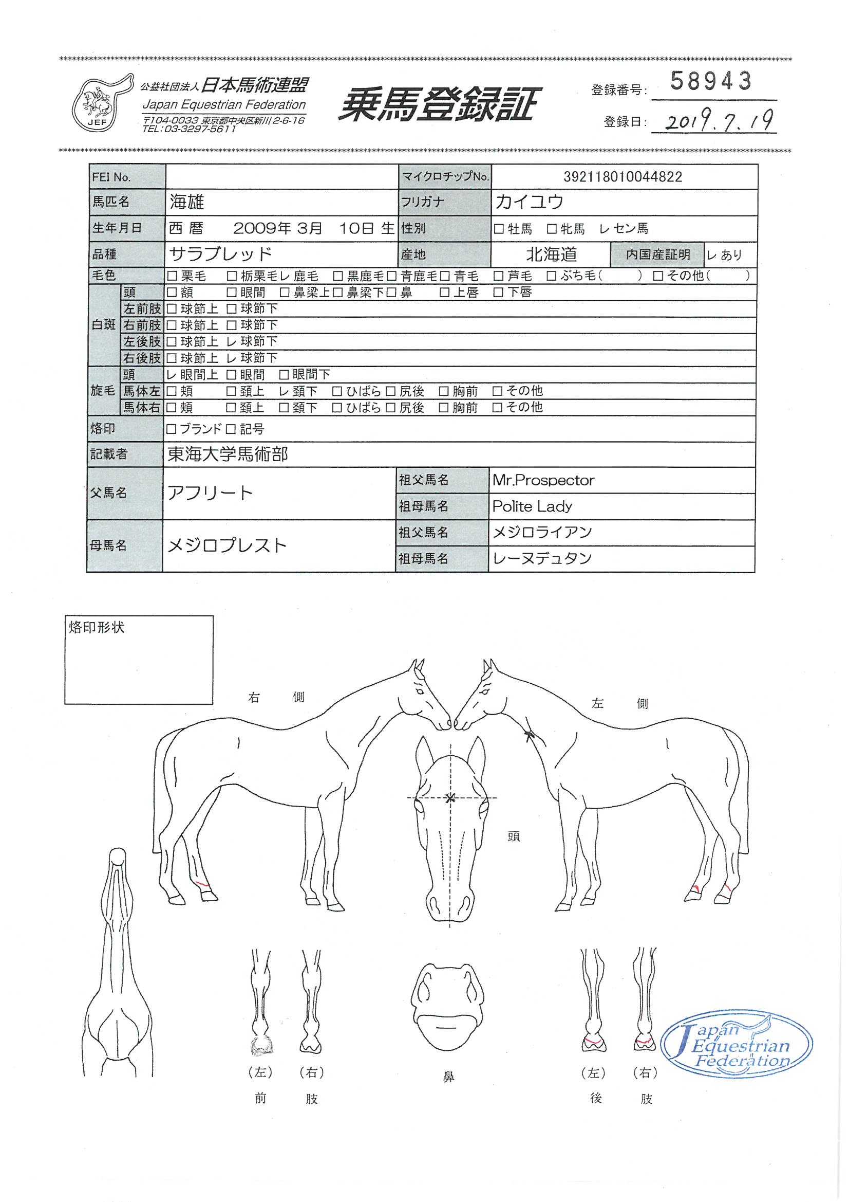 乗馬登録証